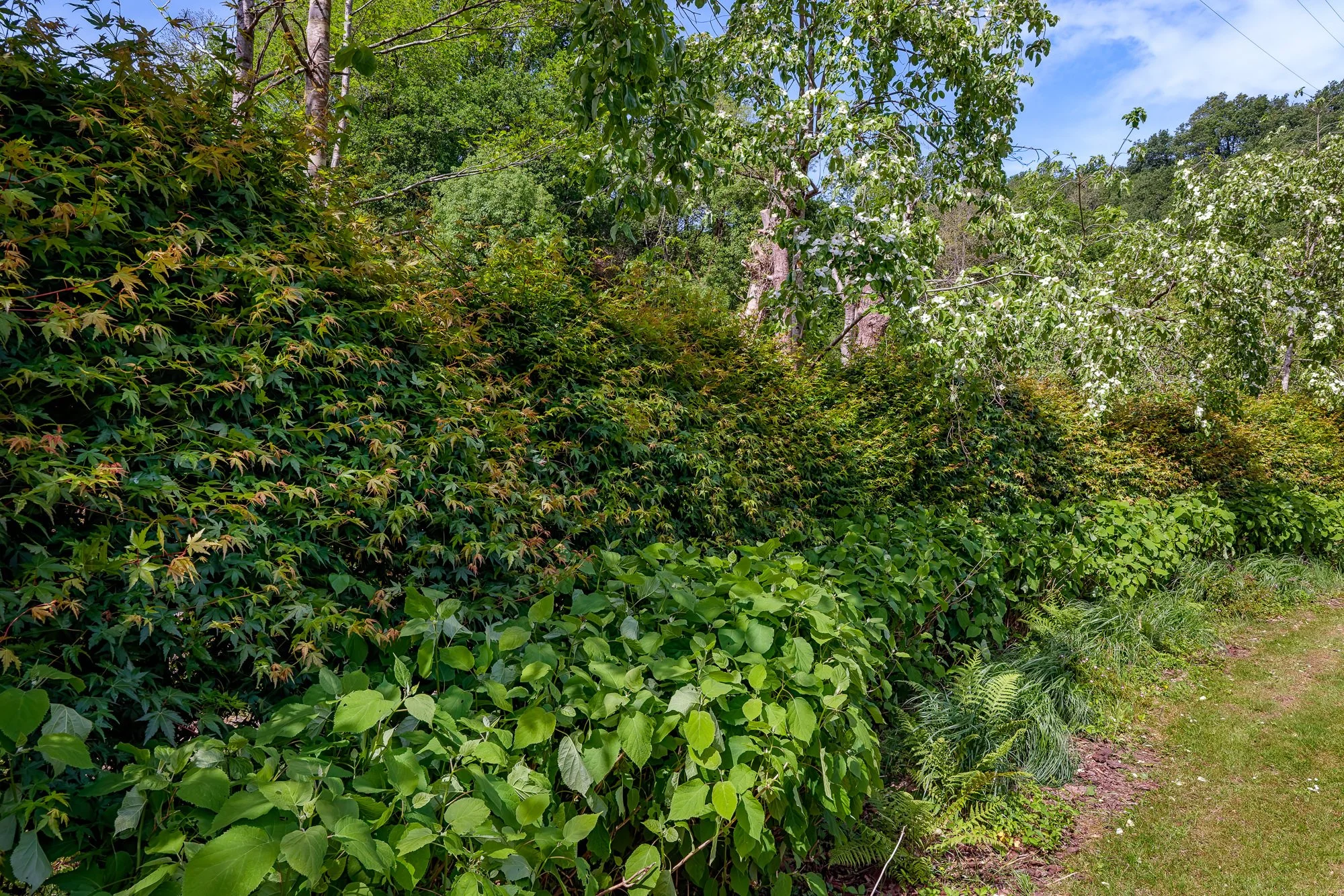 Lur Garden