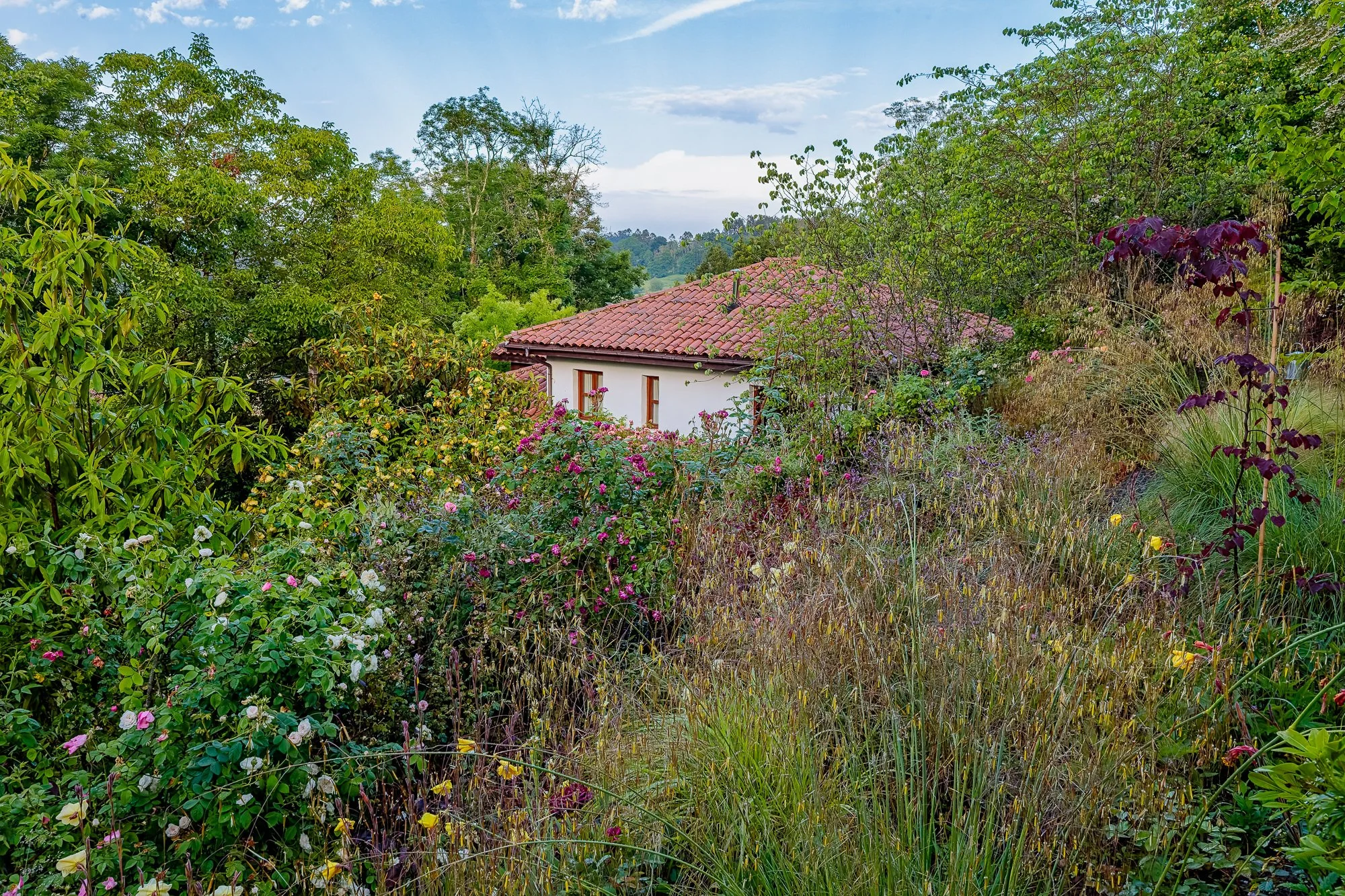 La Corolla Garden