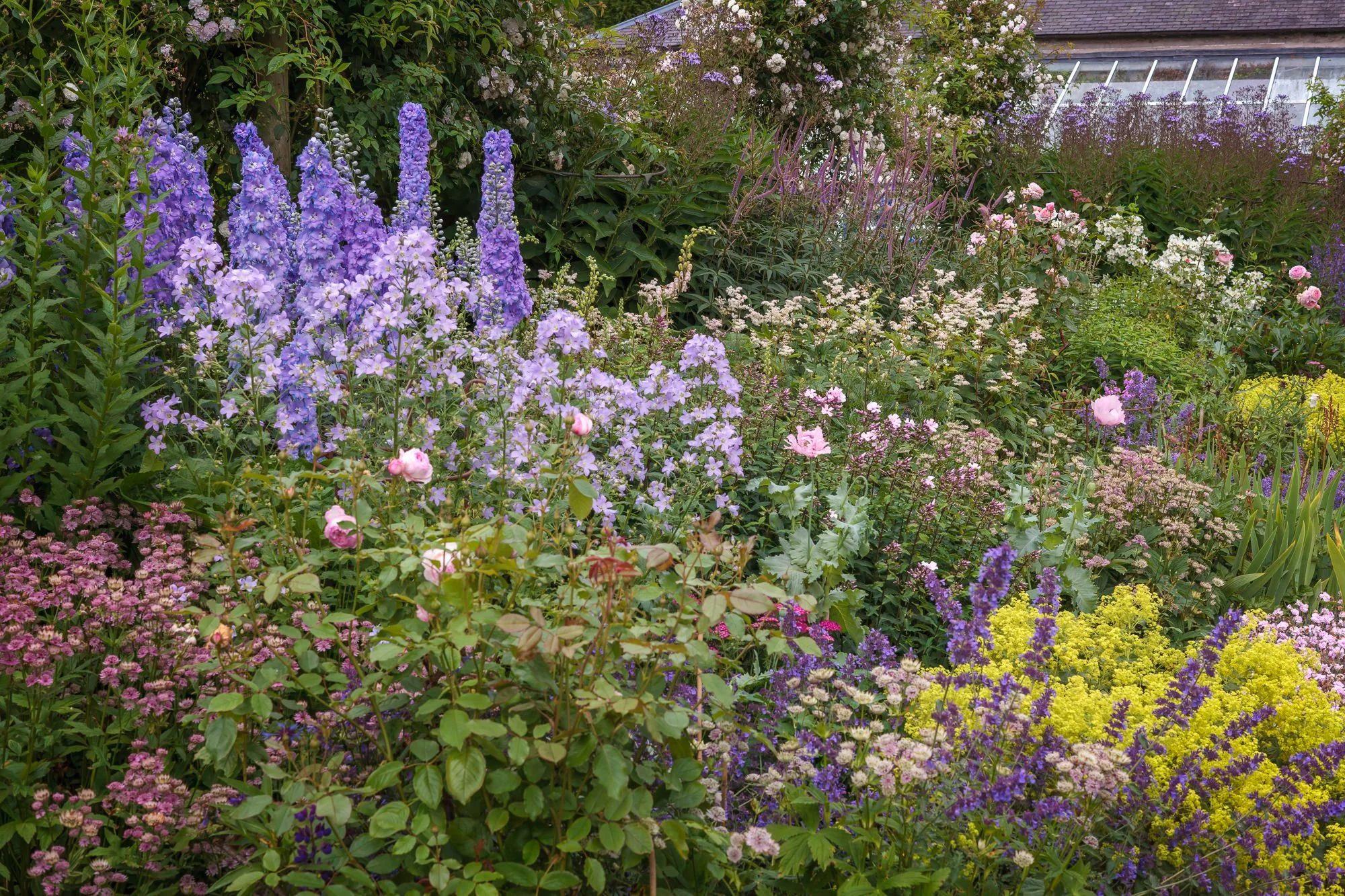 Carolside Gardens
