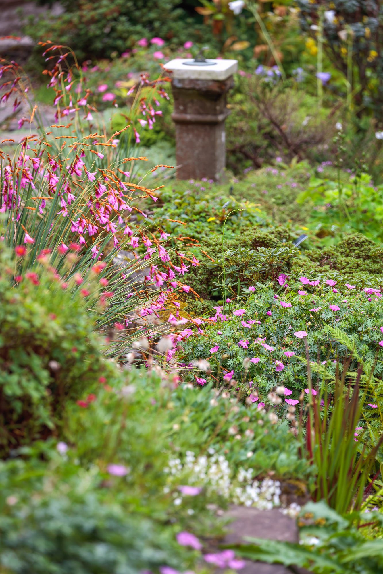 Branklyn Garden, Perth, Scotland, UK