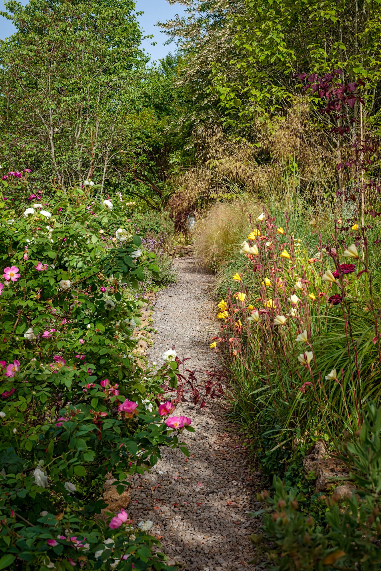 La Corolla Garden
