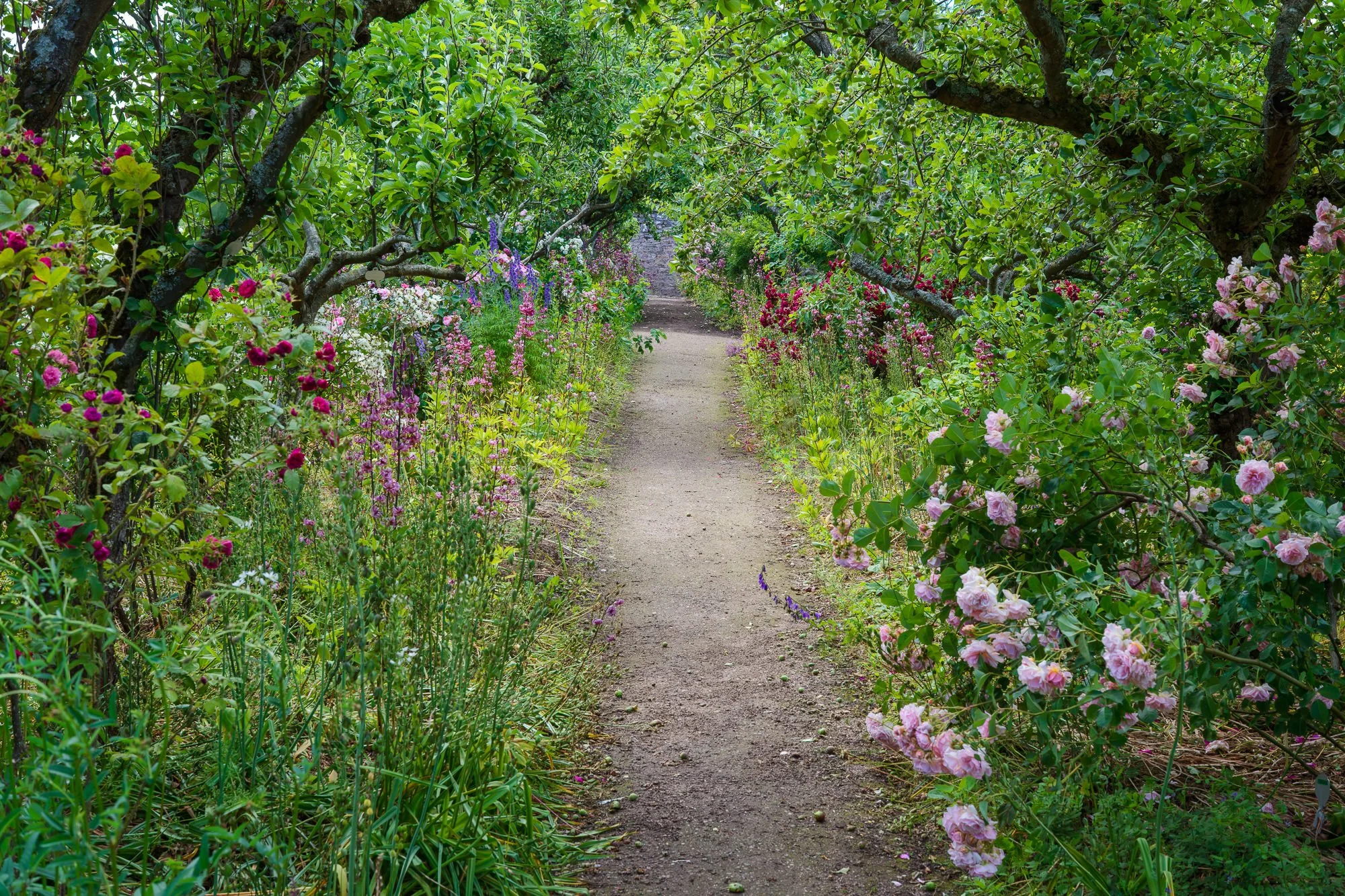 Cambo Gardens