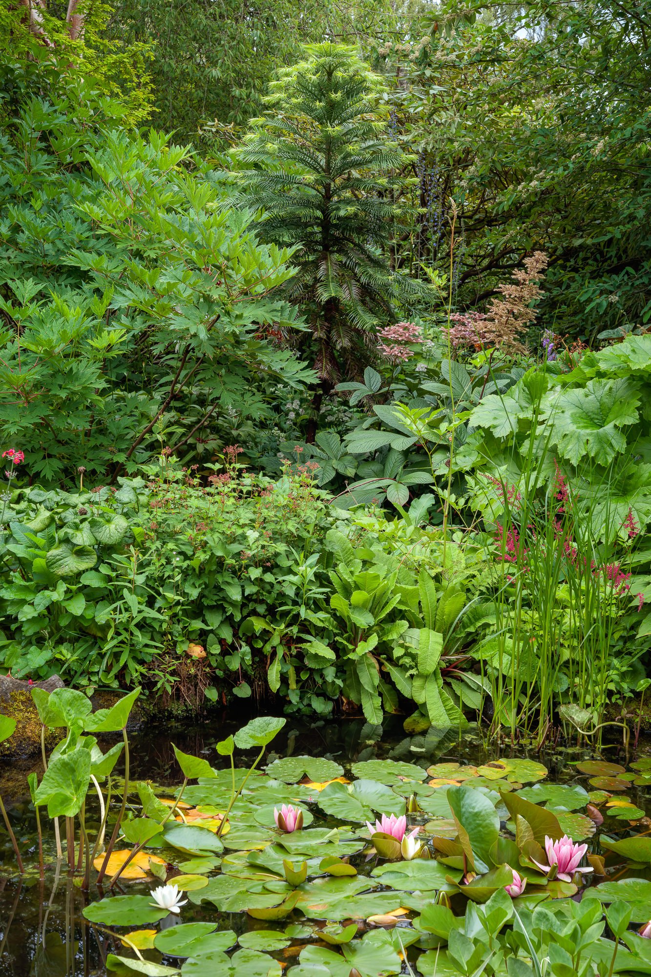 Branklyn Garden, Perth, Scotland, UK