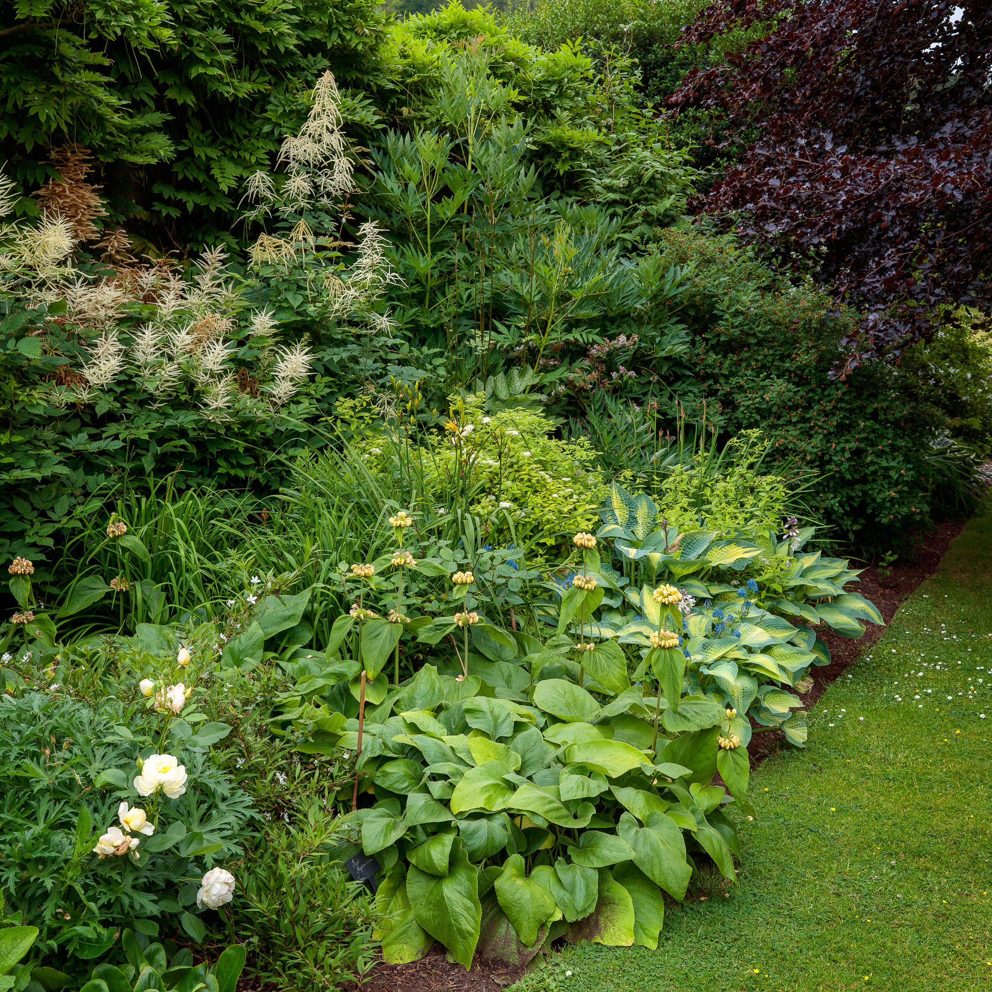 Carolside Gardens