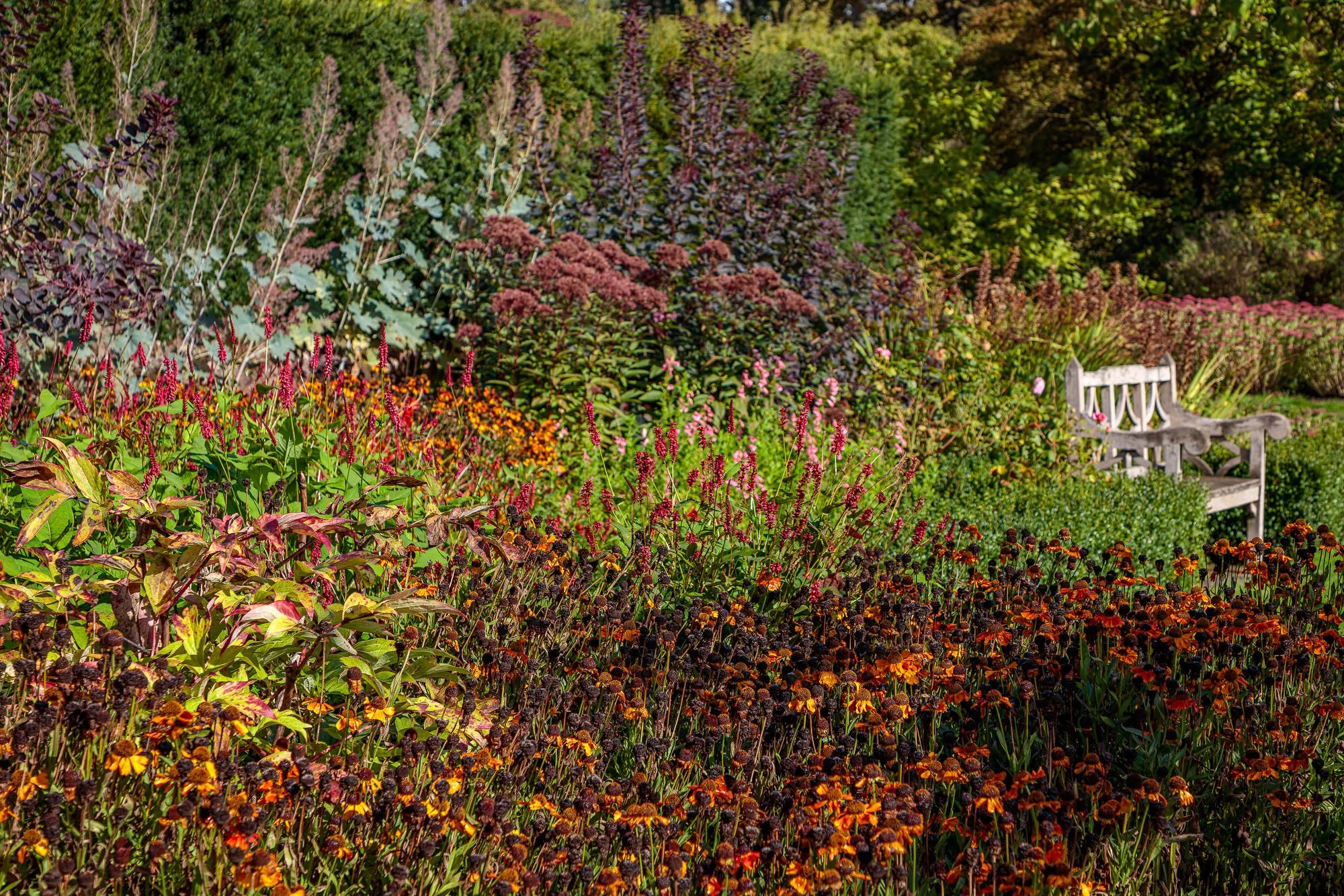 Cholmondeley Castle Gardens