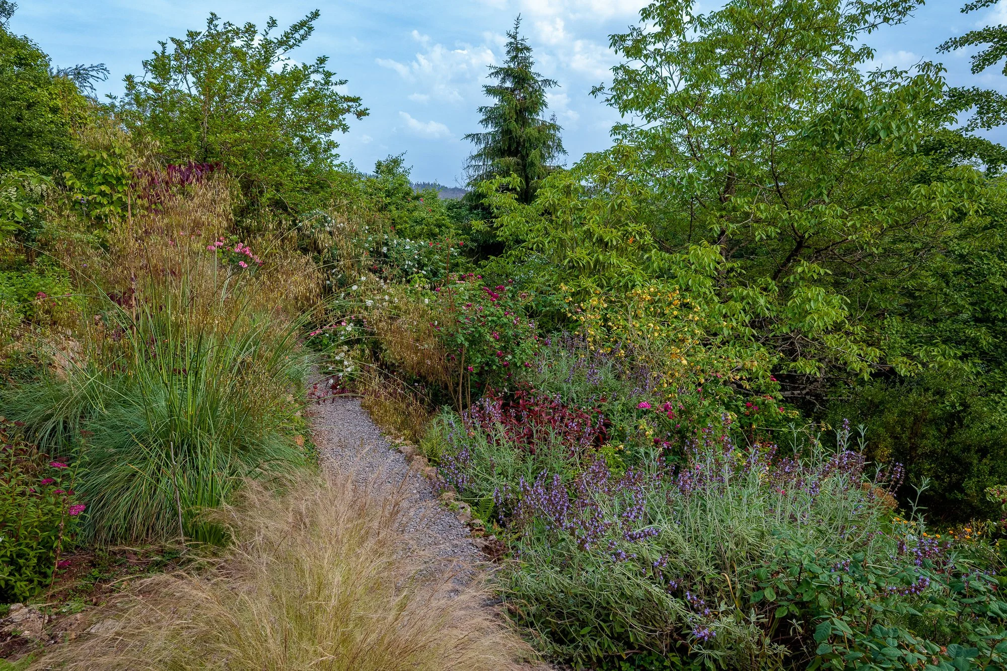 La Corolla Garden