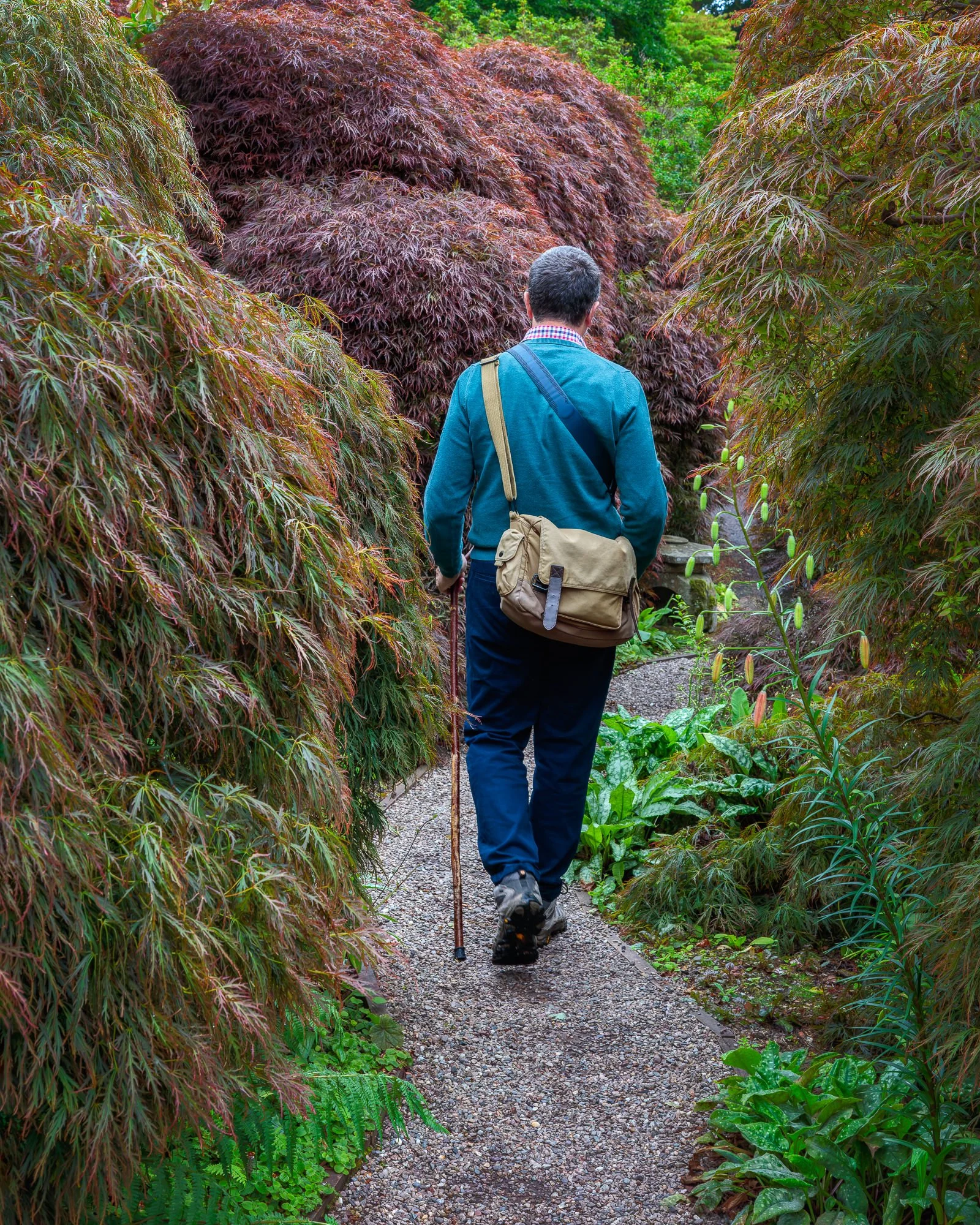 Branklyn Garden, Perth, Scotland, UK