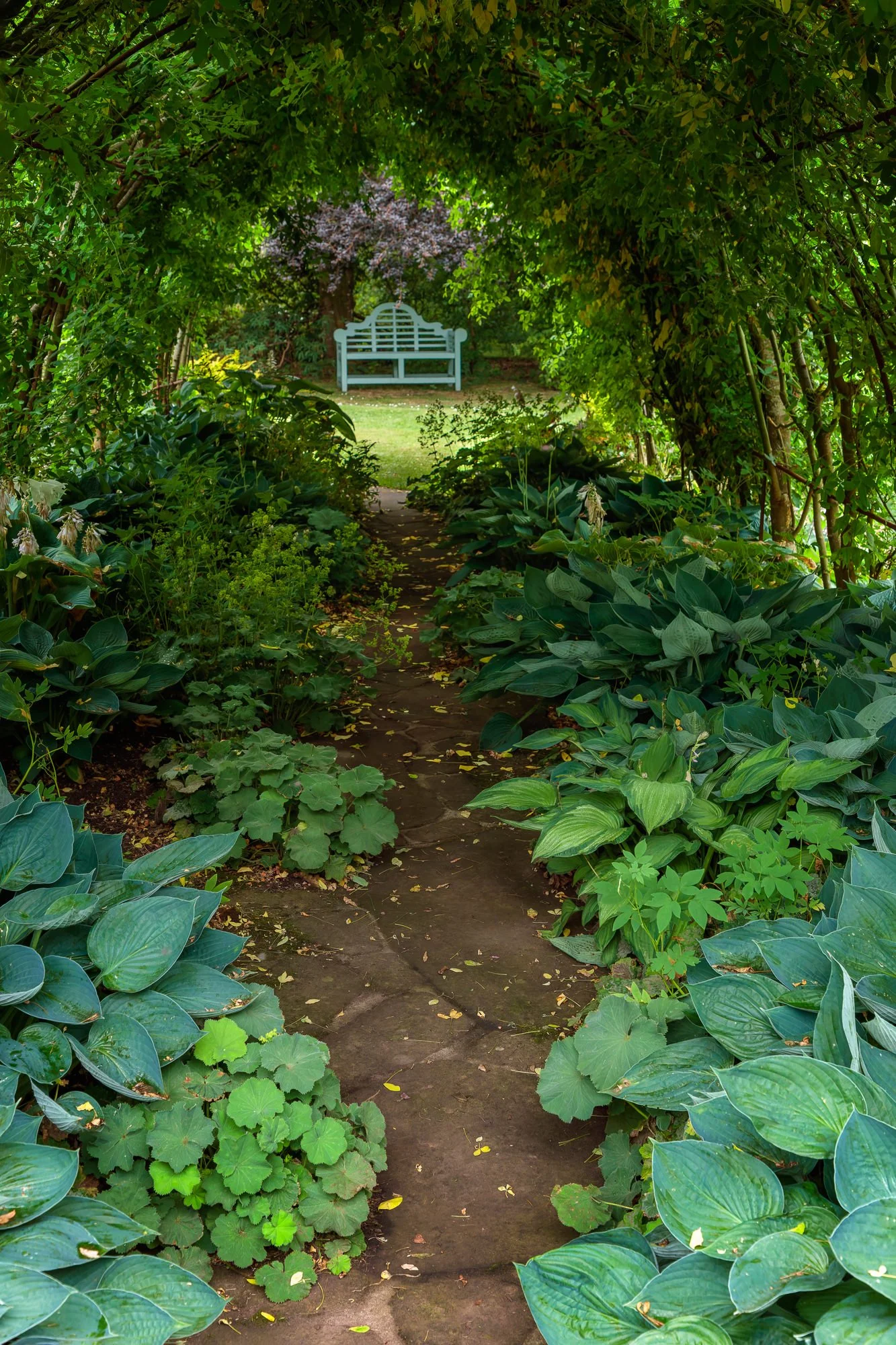 Carolside Gardens