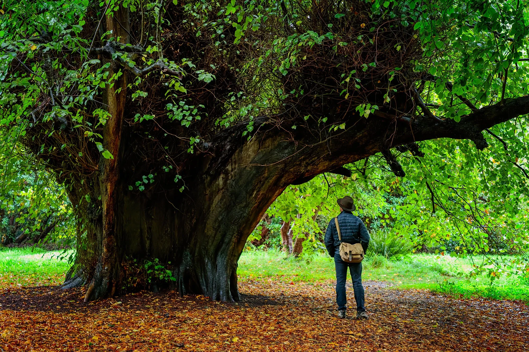 Holker Hall & Gardens