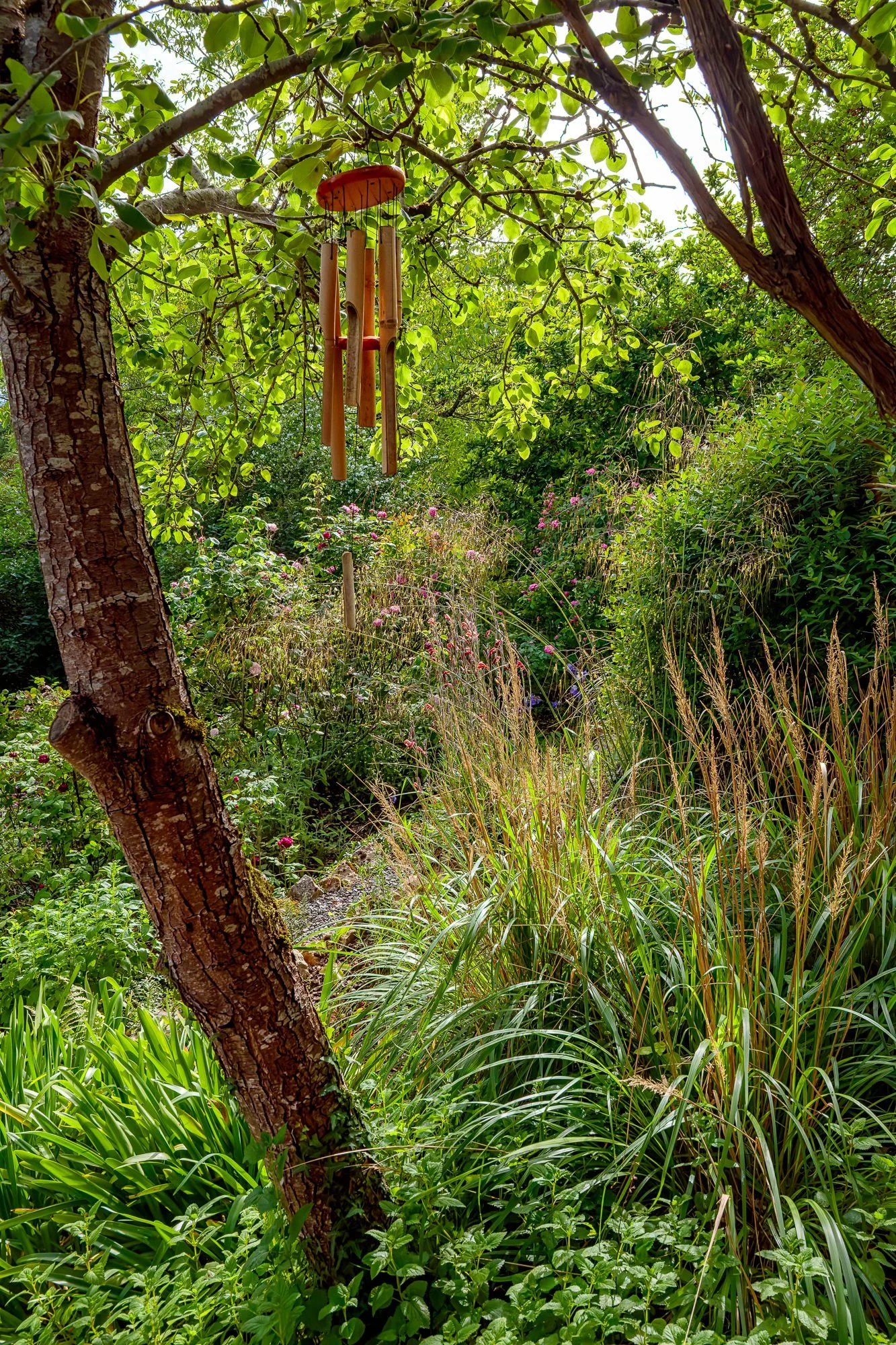 La Corolla Garden