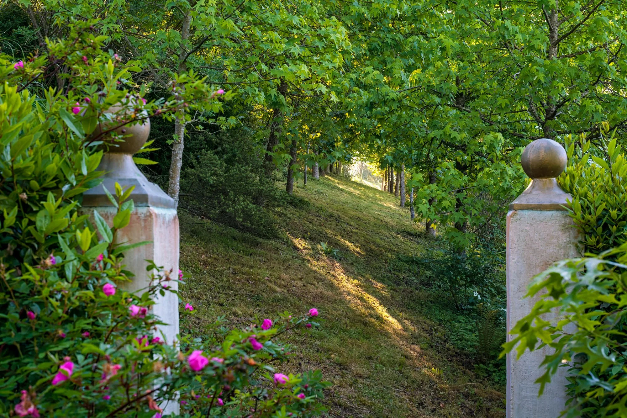 La Corolla Garden