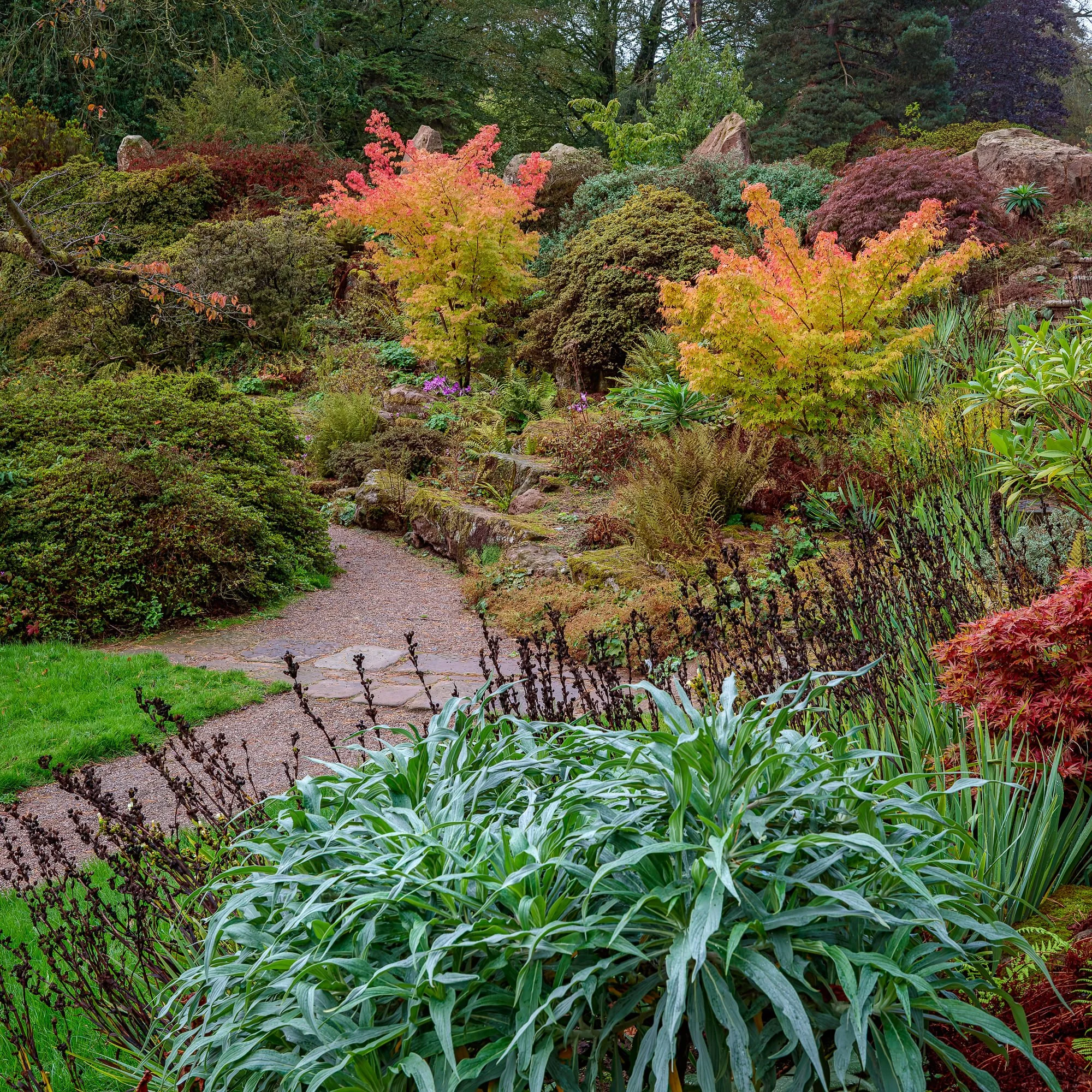 Cholmondeley Castle Gardens