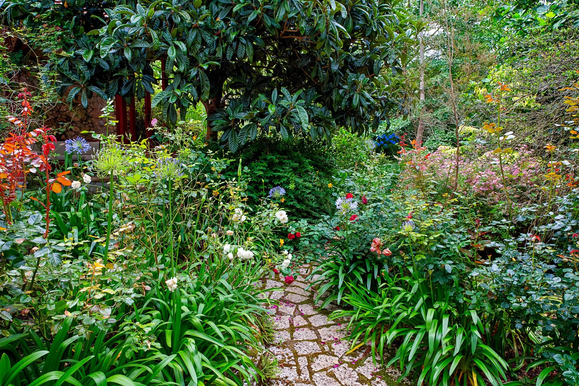 La Corolla Garden