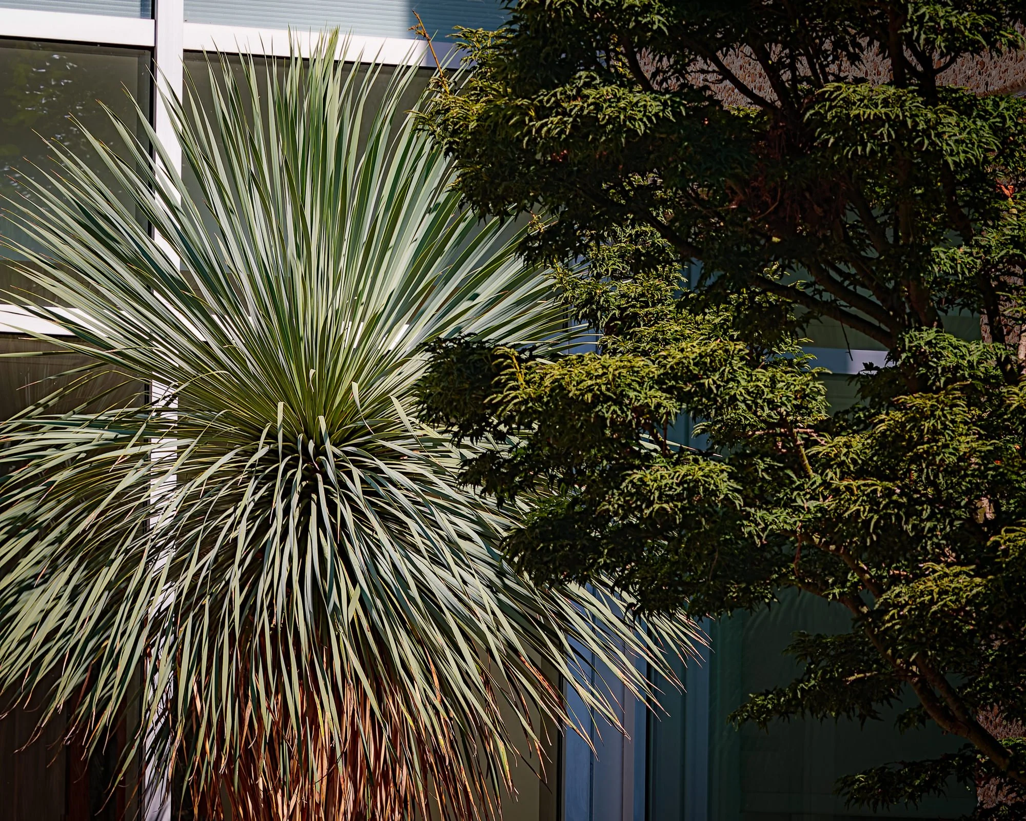 Stoneleigh: a natural garden