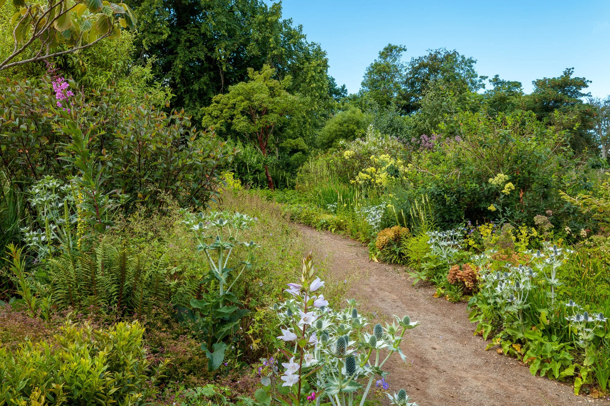 Cambo Gardens