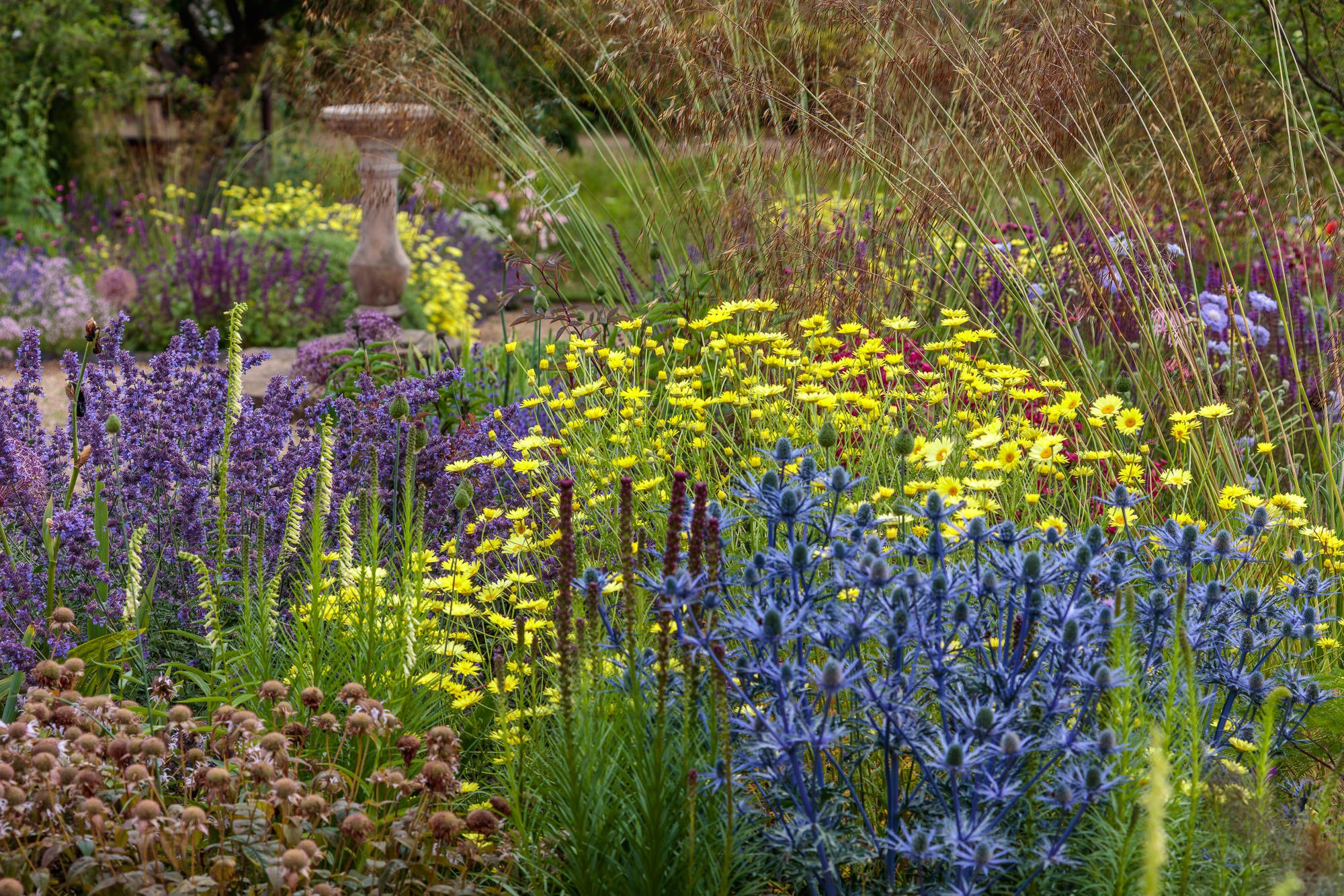 Cambo Gardens