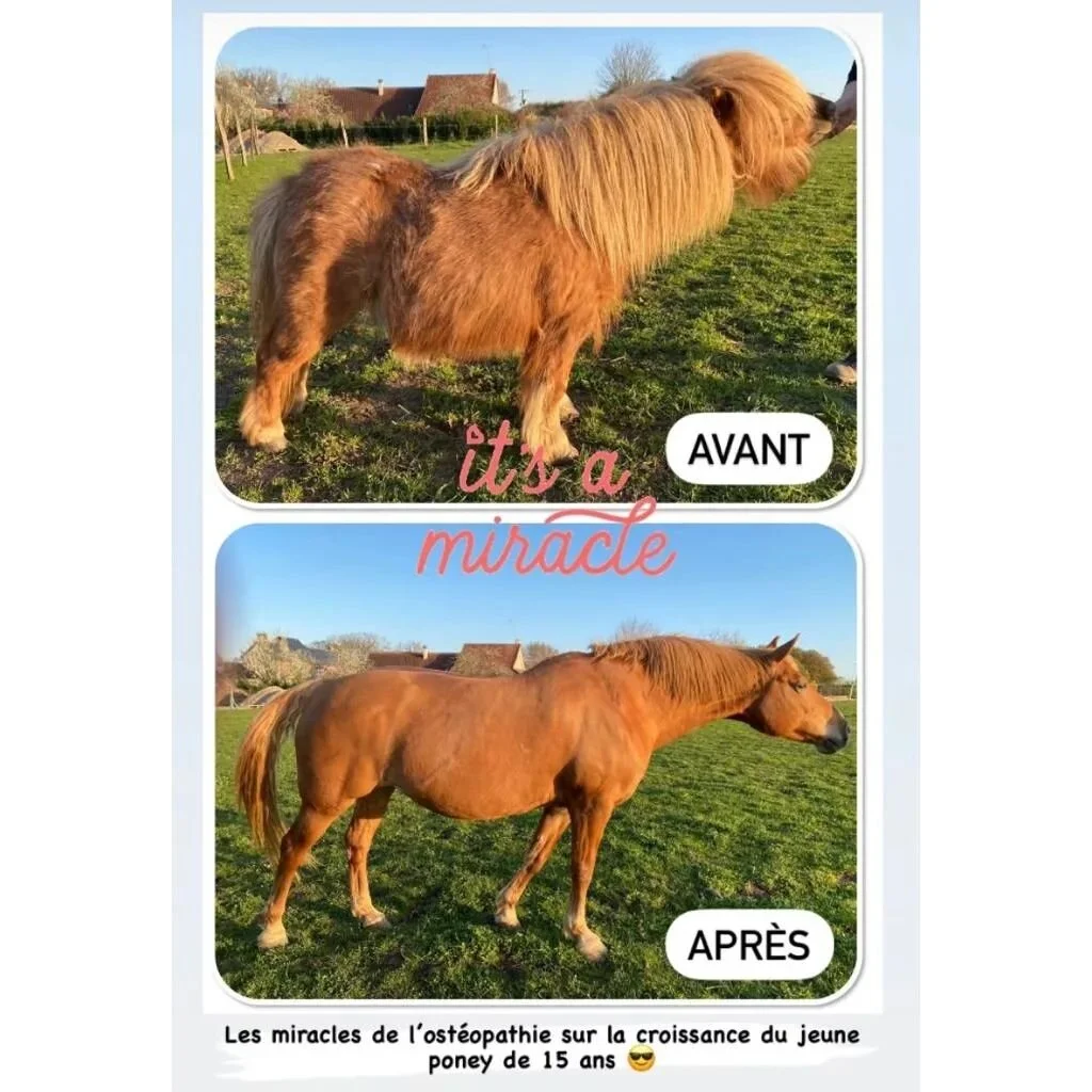 Sans pr&eacute;tention aucune, les miracles d'une ost&eacute;opathie bien men&eacute;e 😅