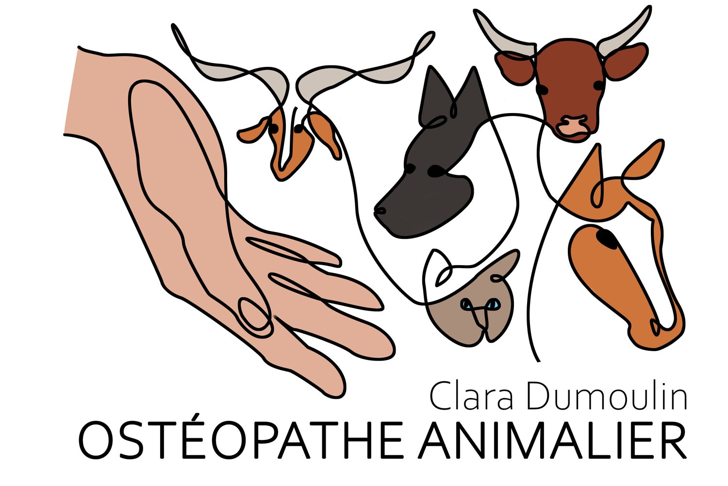 Clara Dumoulin - Ostéopathe Animalier
