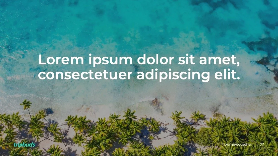 1084 Tripbuds_06.jpeg