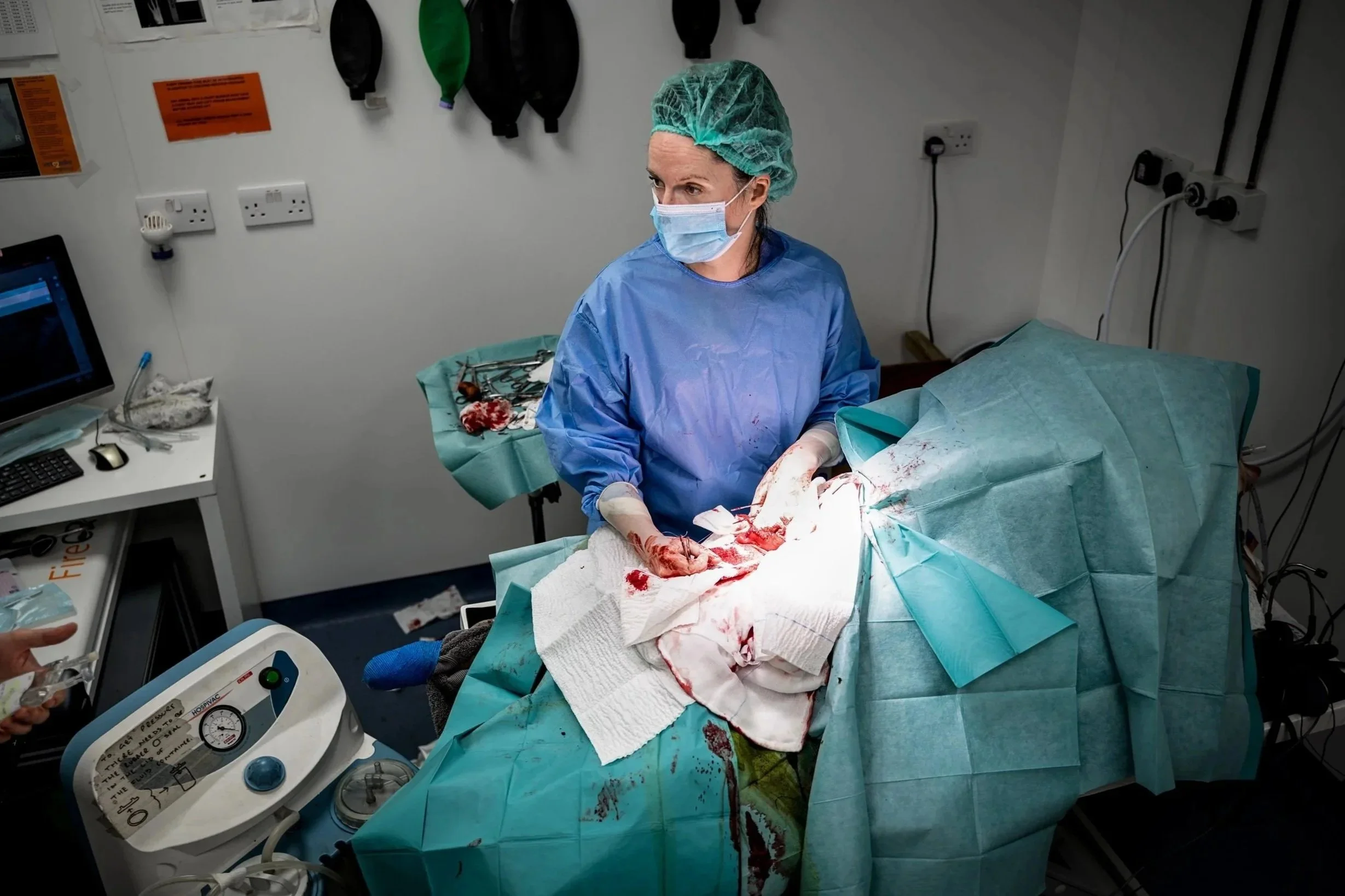 Overhead photo of gowned veterinary surgeon in a tense moment during an emergency exploratory laparotomy on a dog, including suction machine