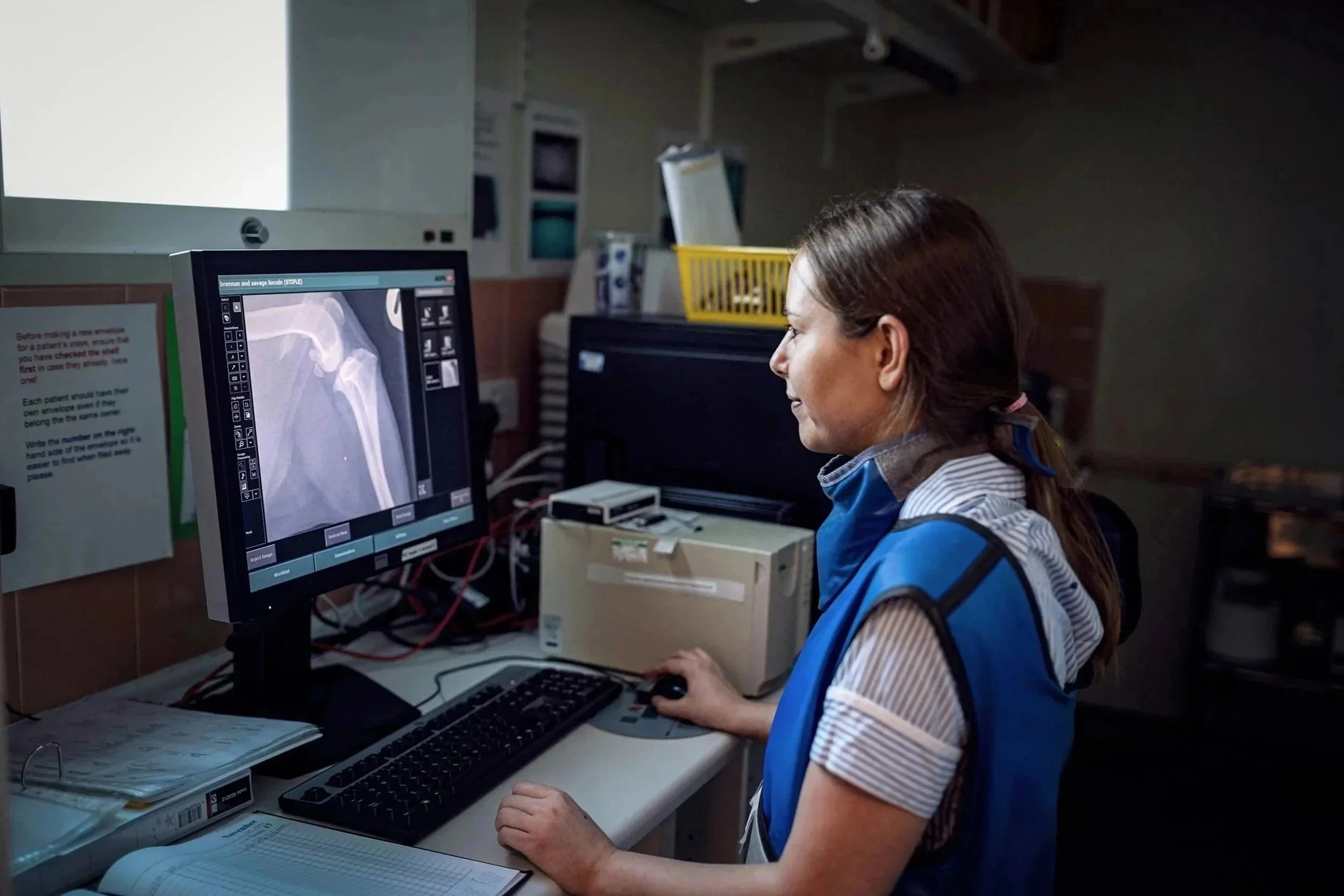 Veterinary nurse looking at screen showing digital x-ray of dog at Blue Cross hospital