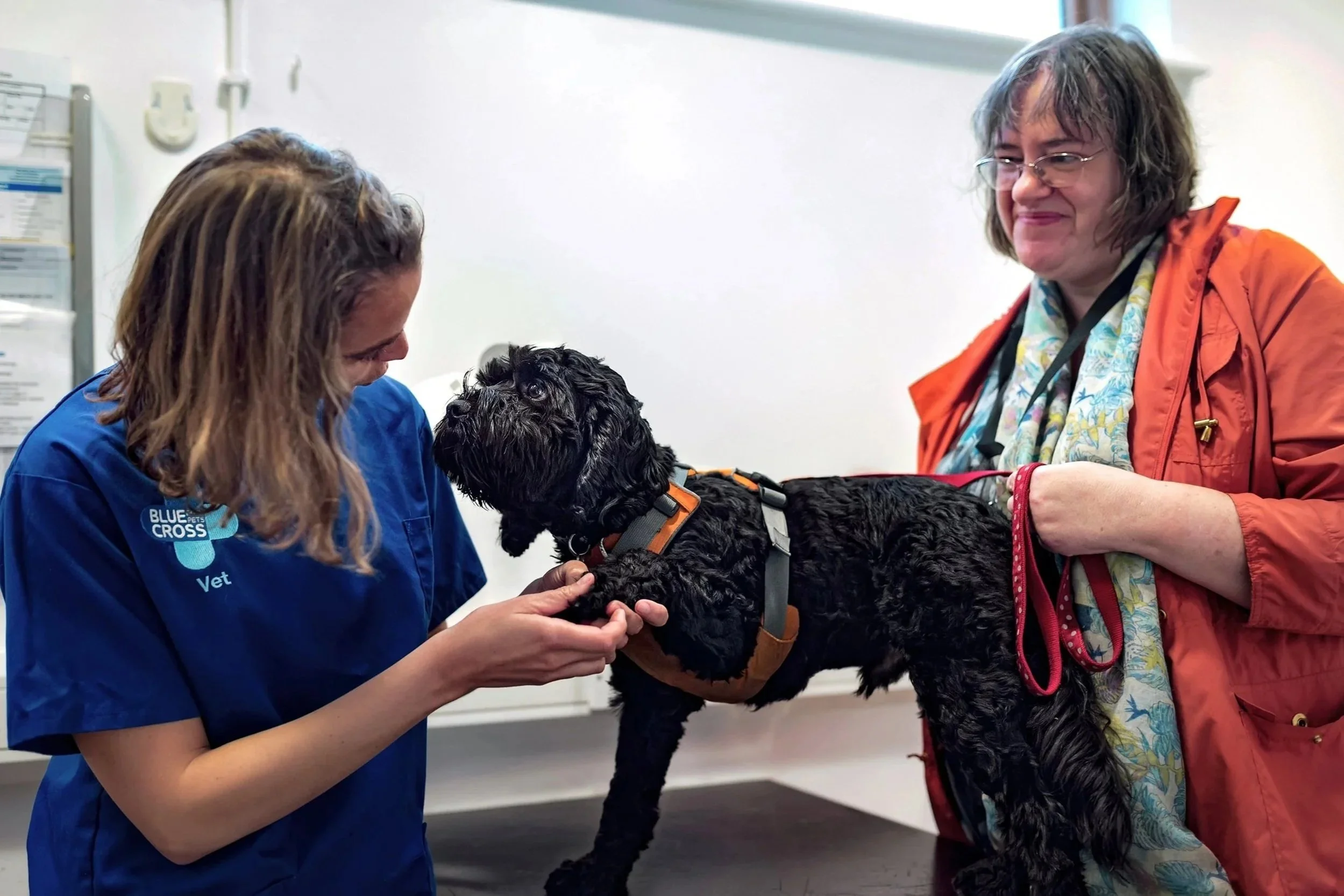 Blue Cross vet affectionately holds paw of dog during consultation while smiling owner looks on