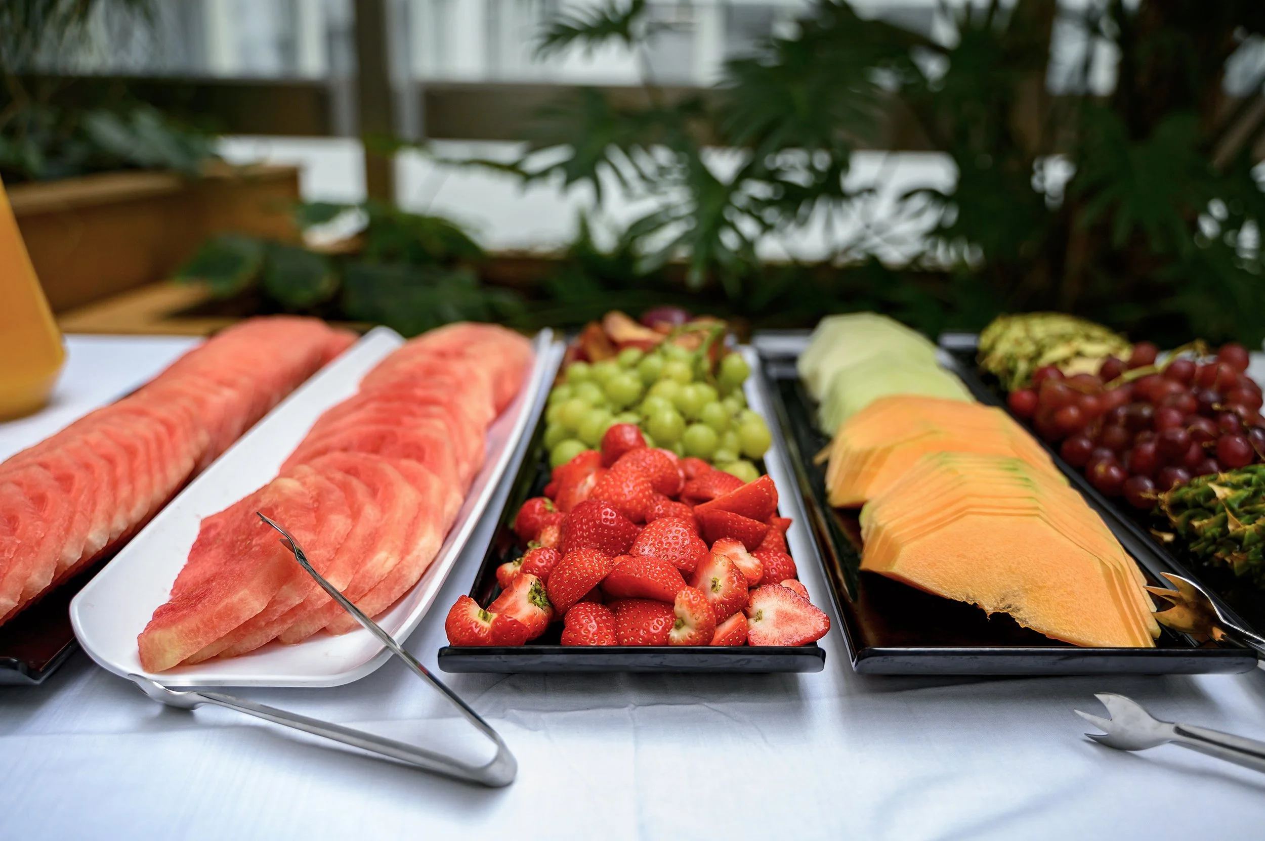 Z62_1549-Edit copy 2.jpg