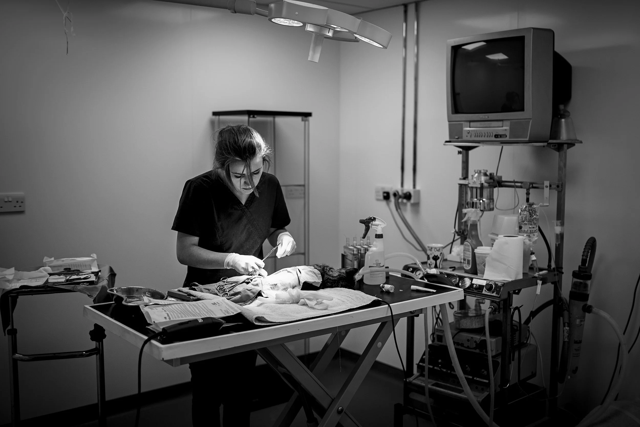 DSC_0754-Edit copy 2.jpg