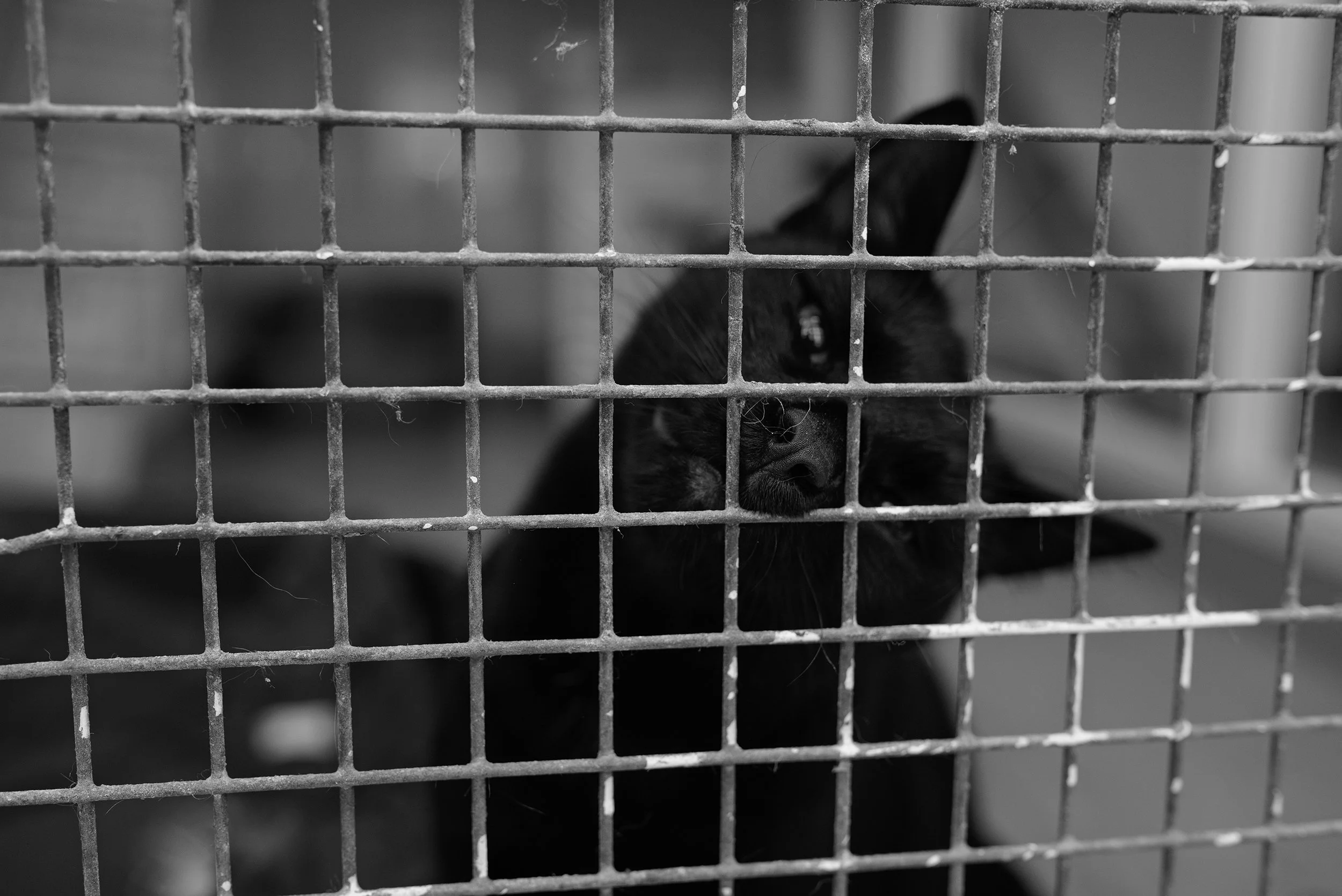 DSC_7340-Edit copy 2.jpg