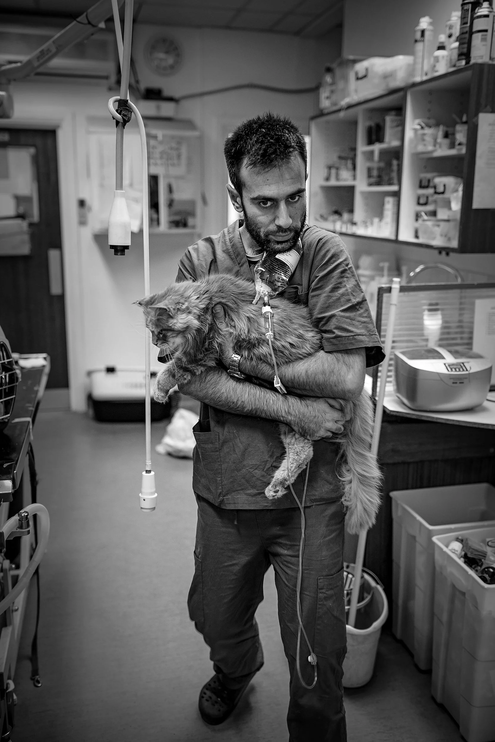 DSC_6955-Edit copy.jpg