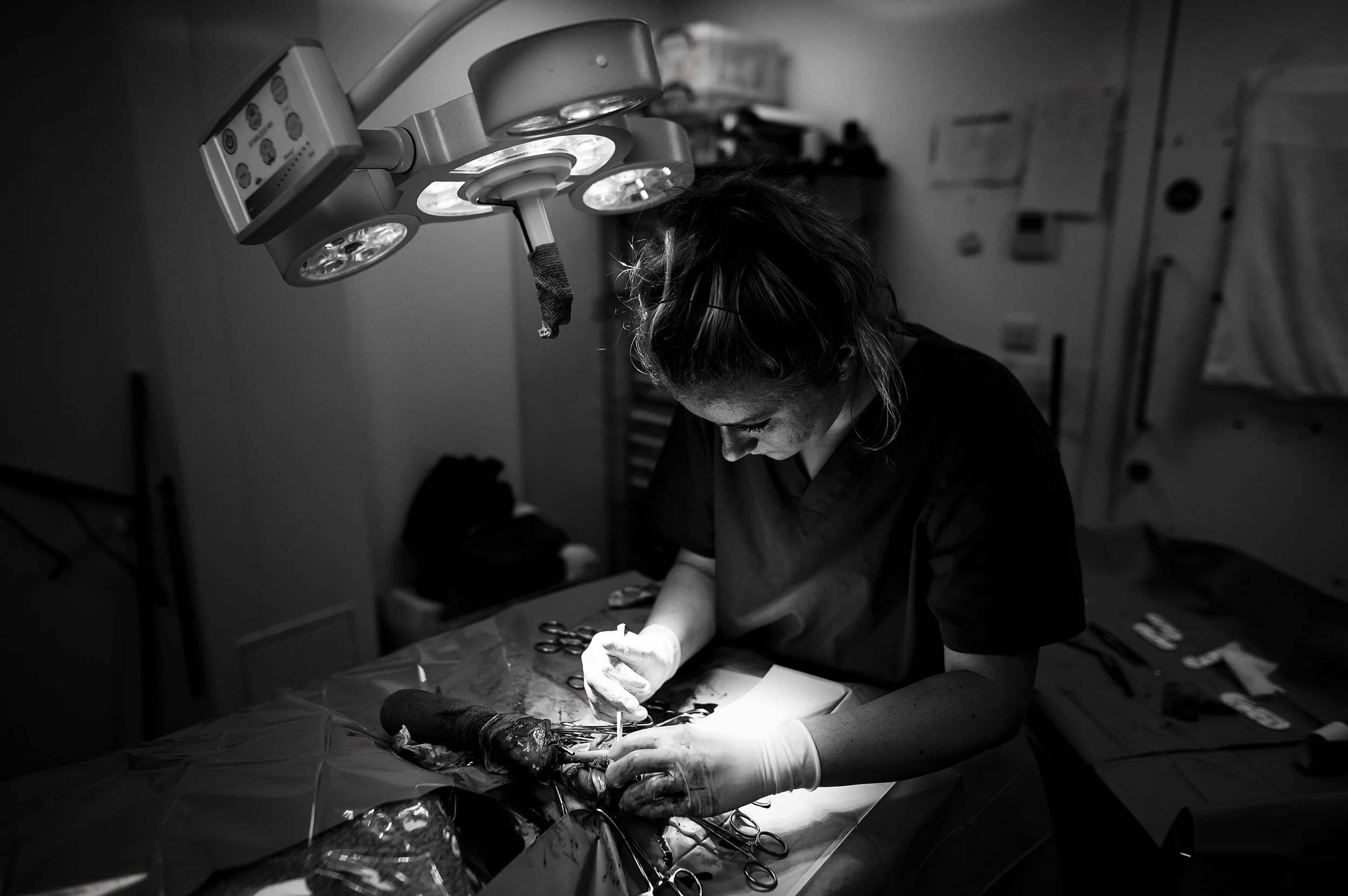 Z62_0193-Edit copy 2.jpg