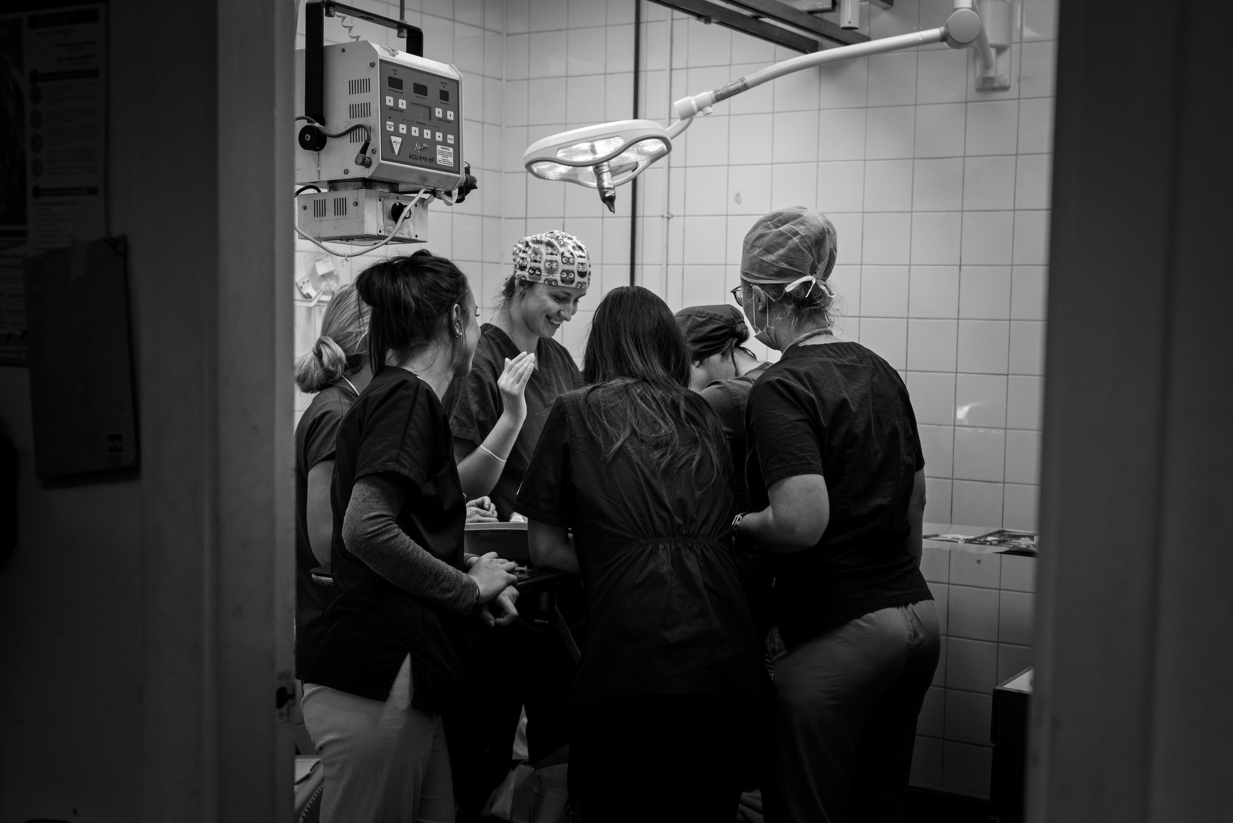 DSC_7295-Edit copy 2.jpg