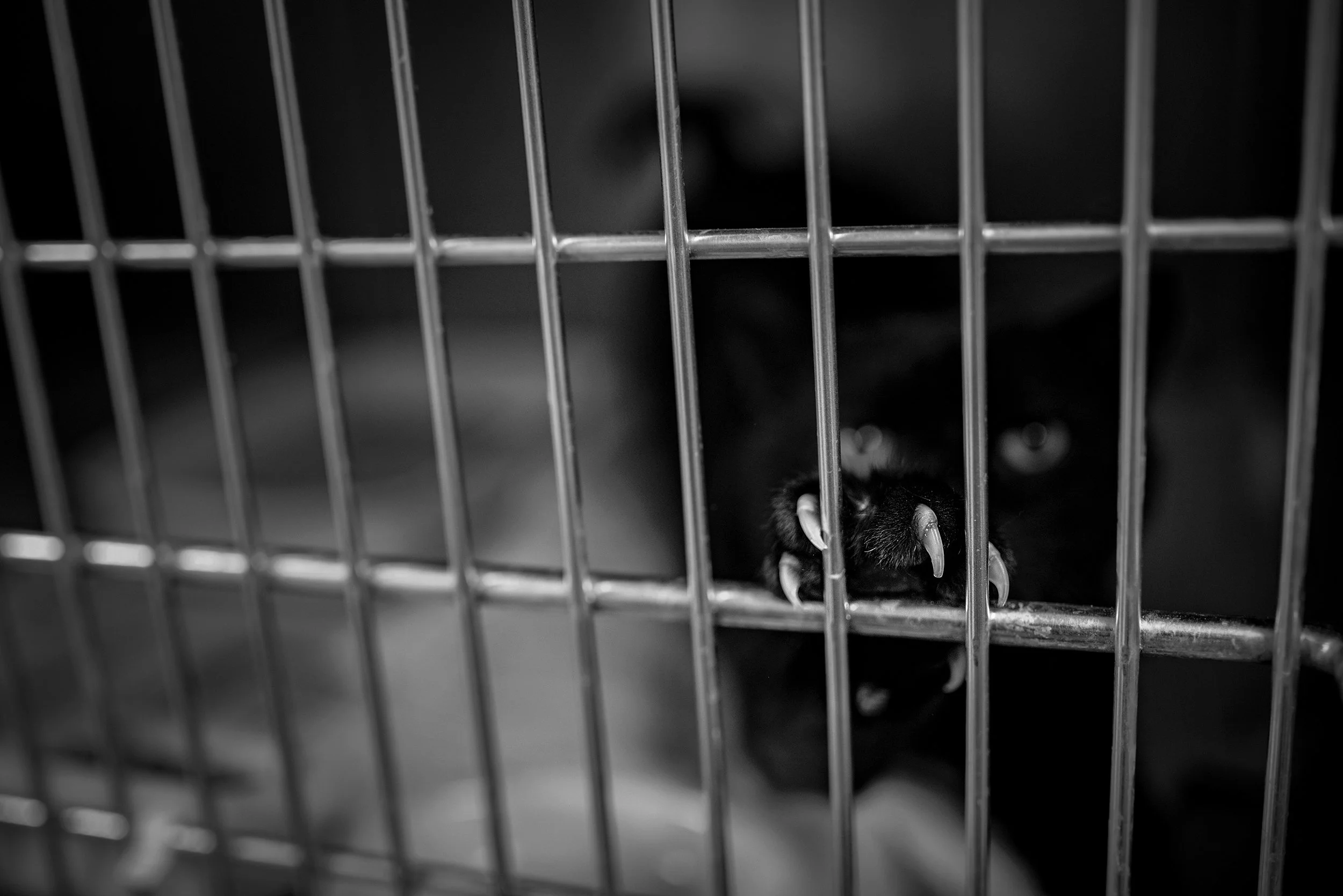 DSC_6743-Edit copy 2.jpg