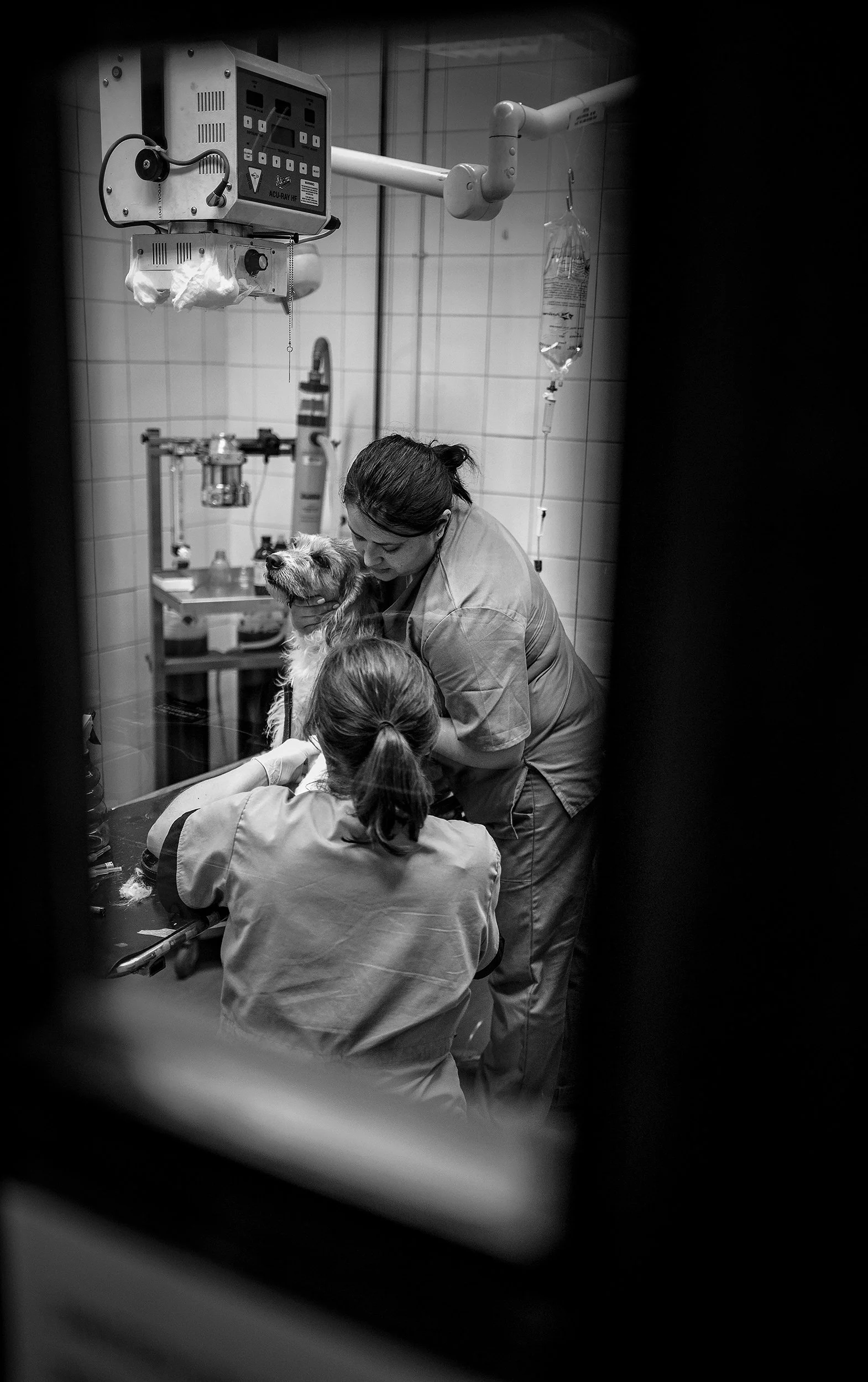 DSC_6872-Edit copy.jpg