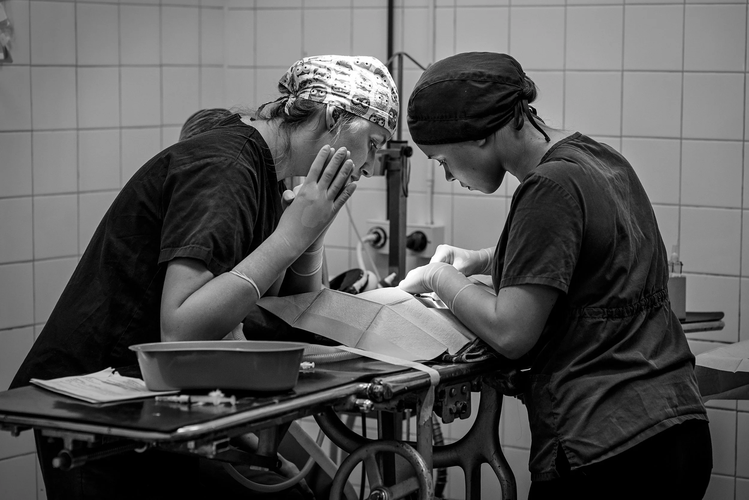 DSC_7300-Edit copy 2.jpg