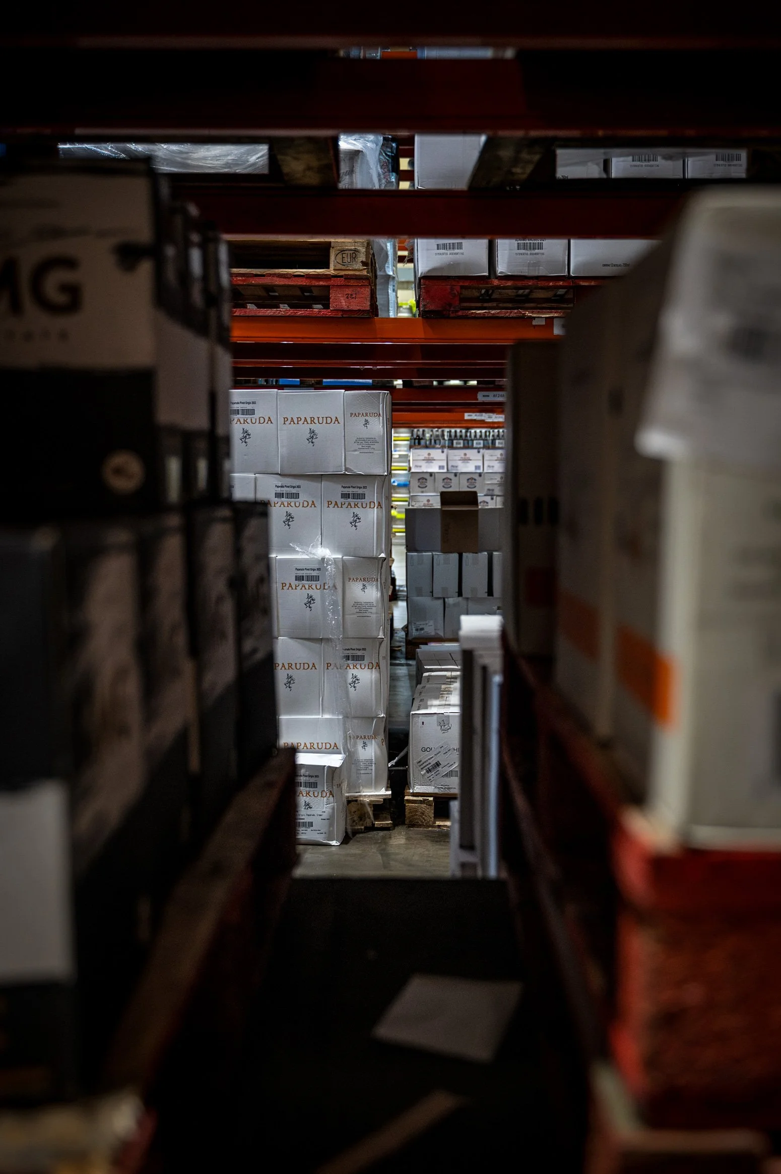 Z62_6668-Enhanced-NR-Edit-copy.jpg
