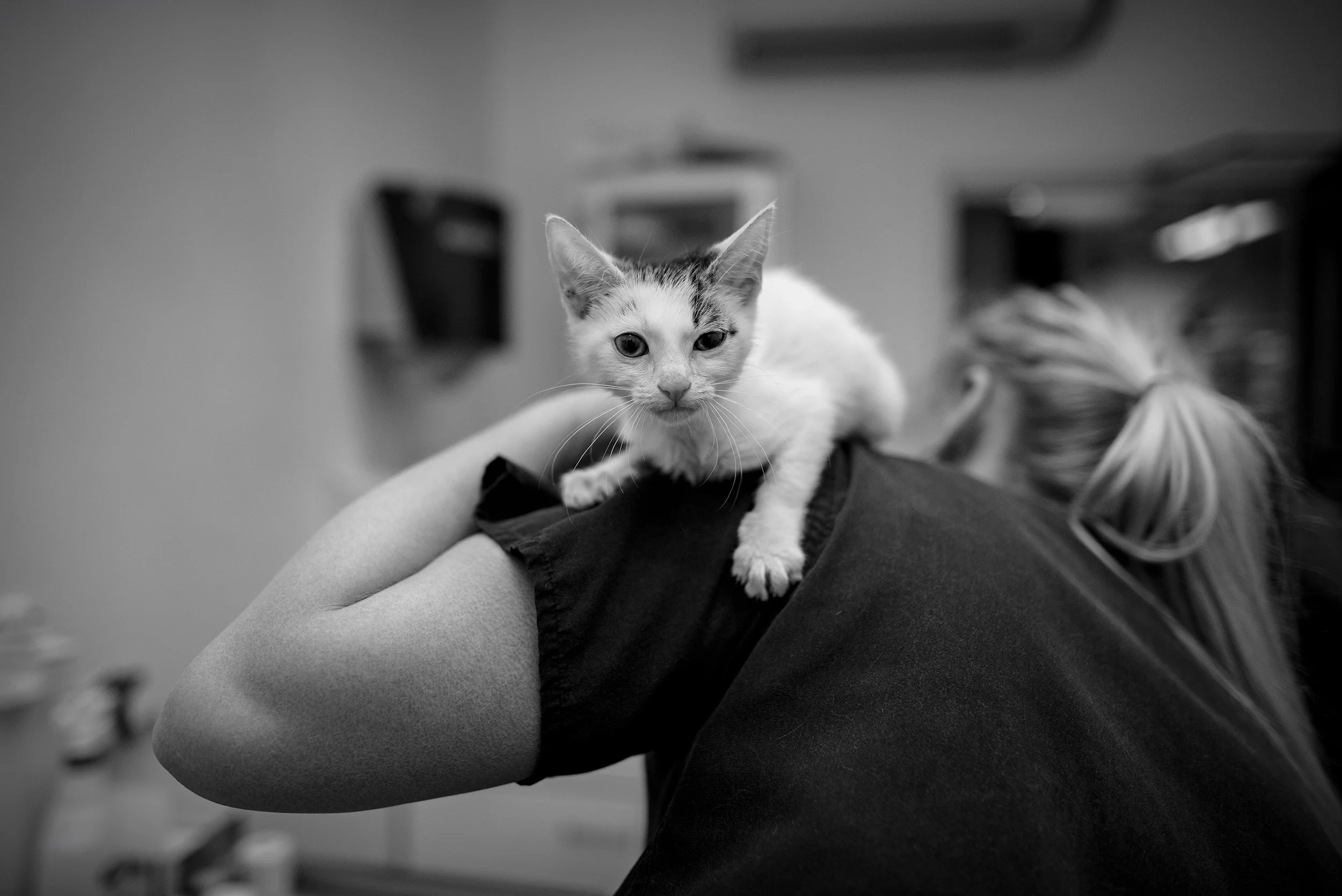 DSC_2304-Edit copy 2.jpg