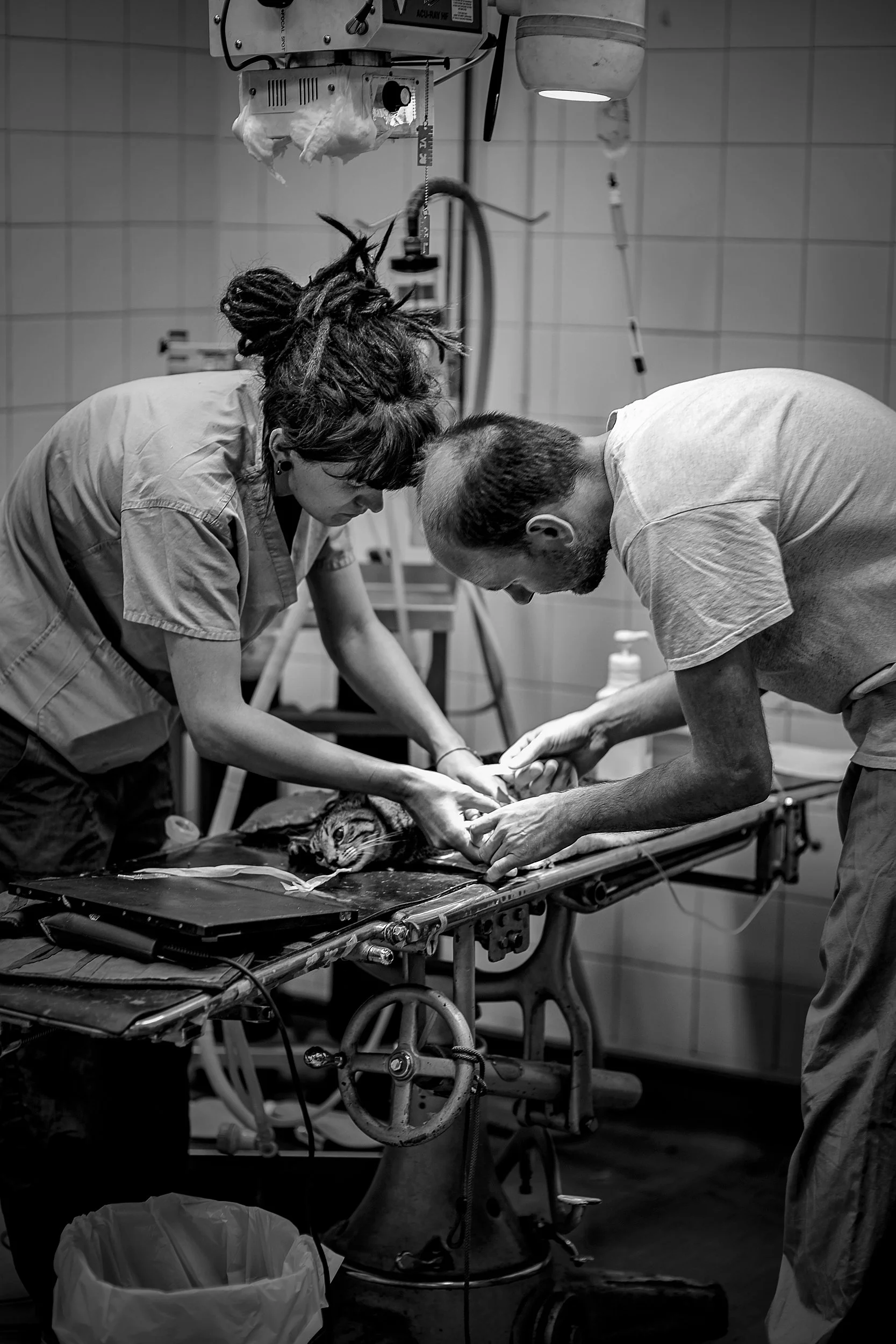 DSC_7672-Edit copy.jpg