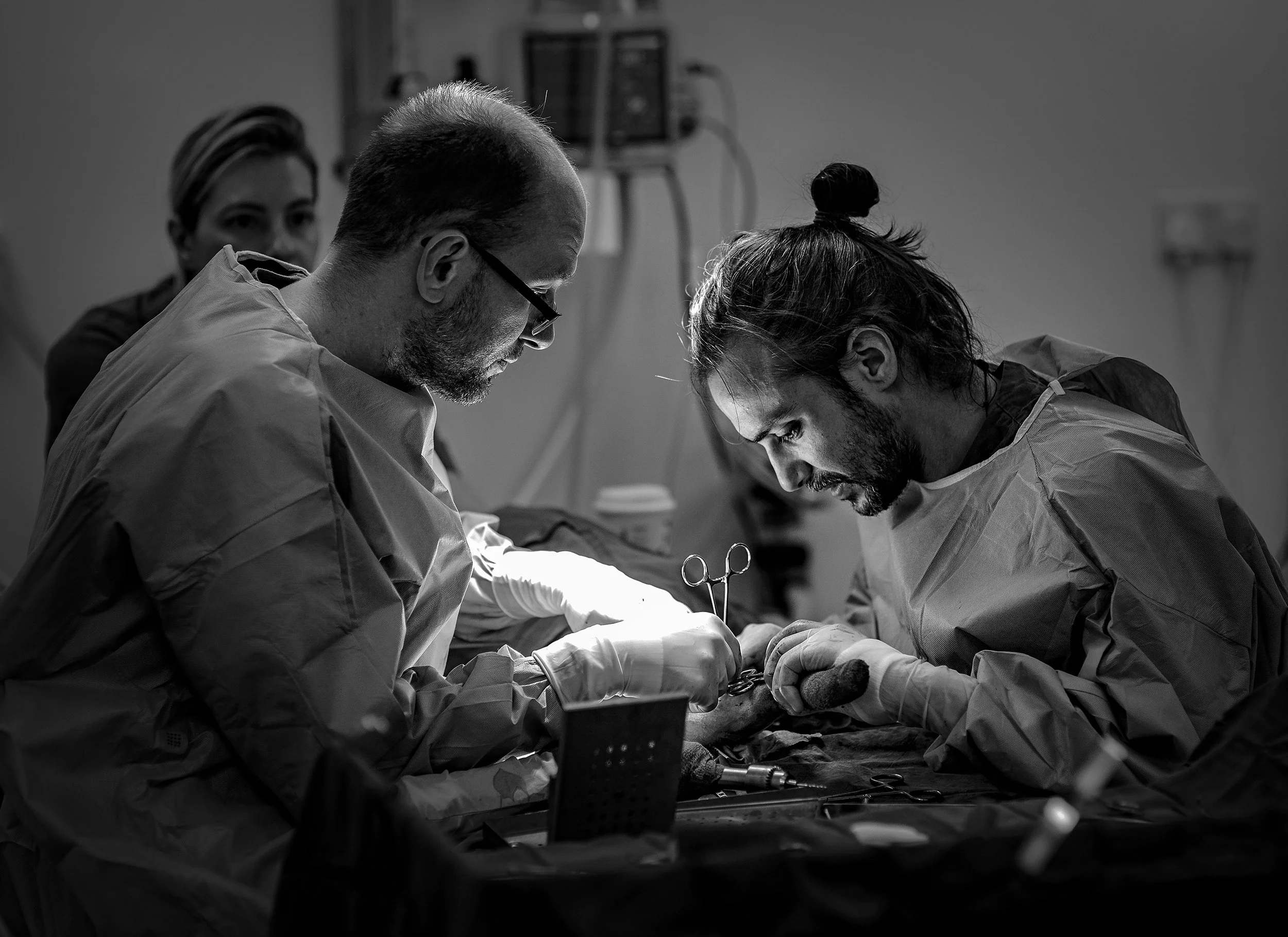 DSC_6910-Edit copy 2.jpg