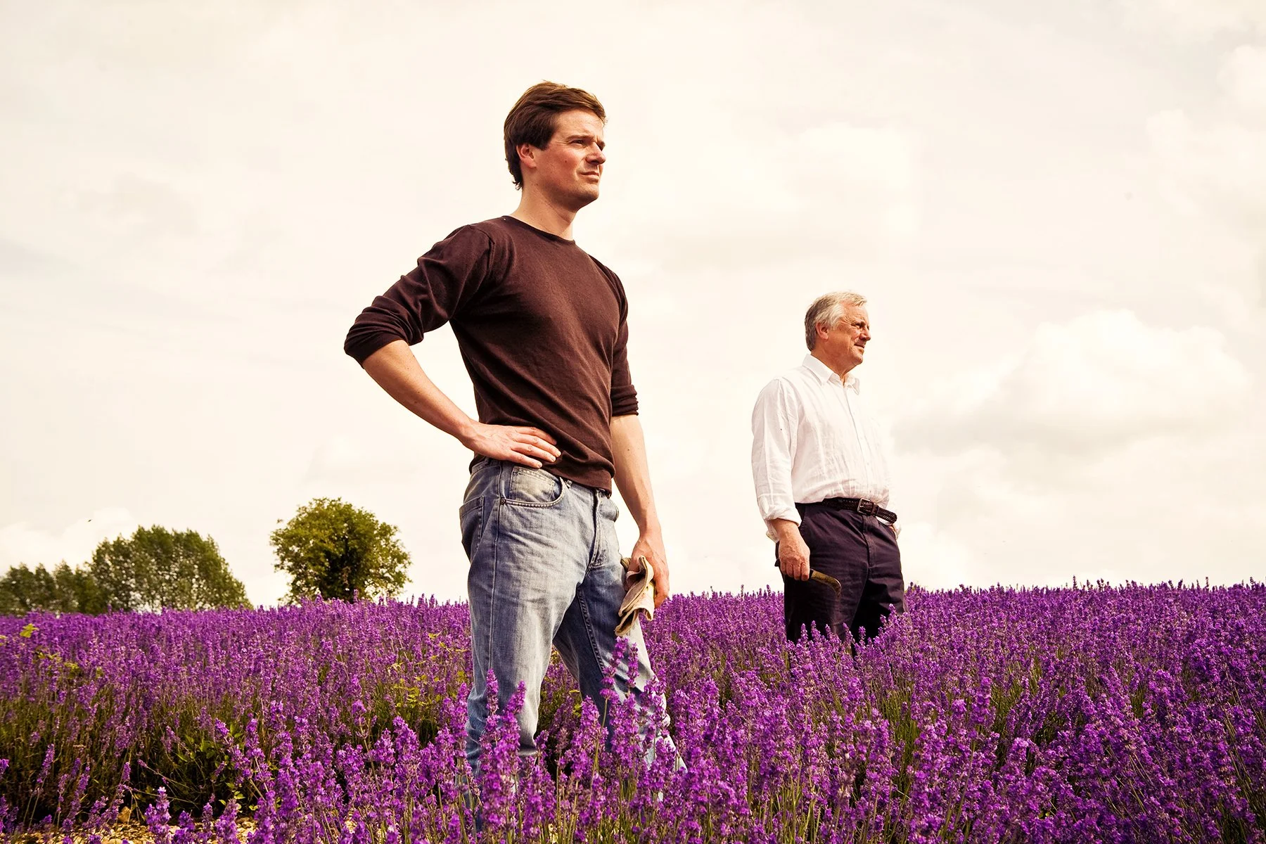 Mitchell & Peach lavender fragrances.