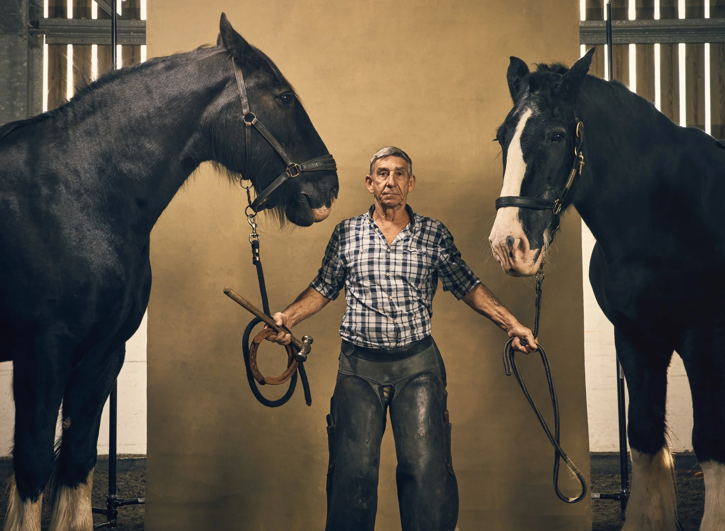 Mike The Farrier 2.jpg