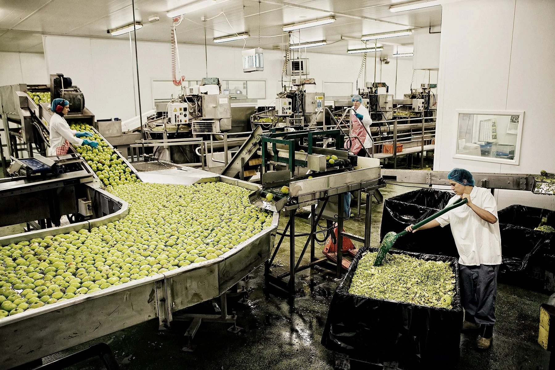 The Bramley Apple Association.