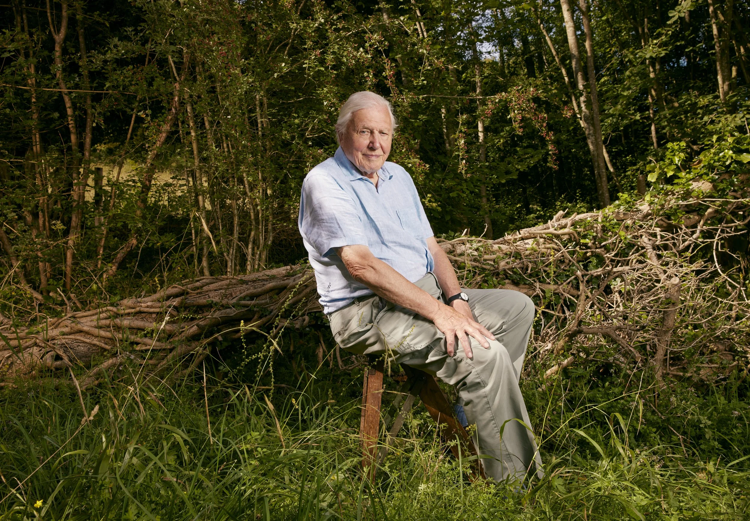 Sir David Attenborough for BBC Planet Earth 111. Shortlisted for the Sony World Photo Open Awards.