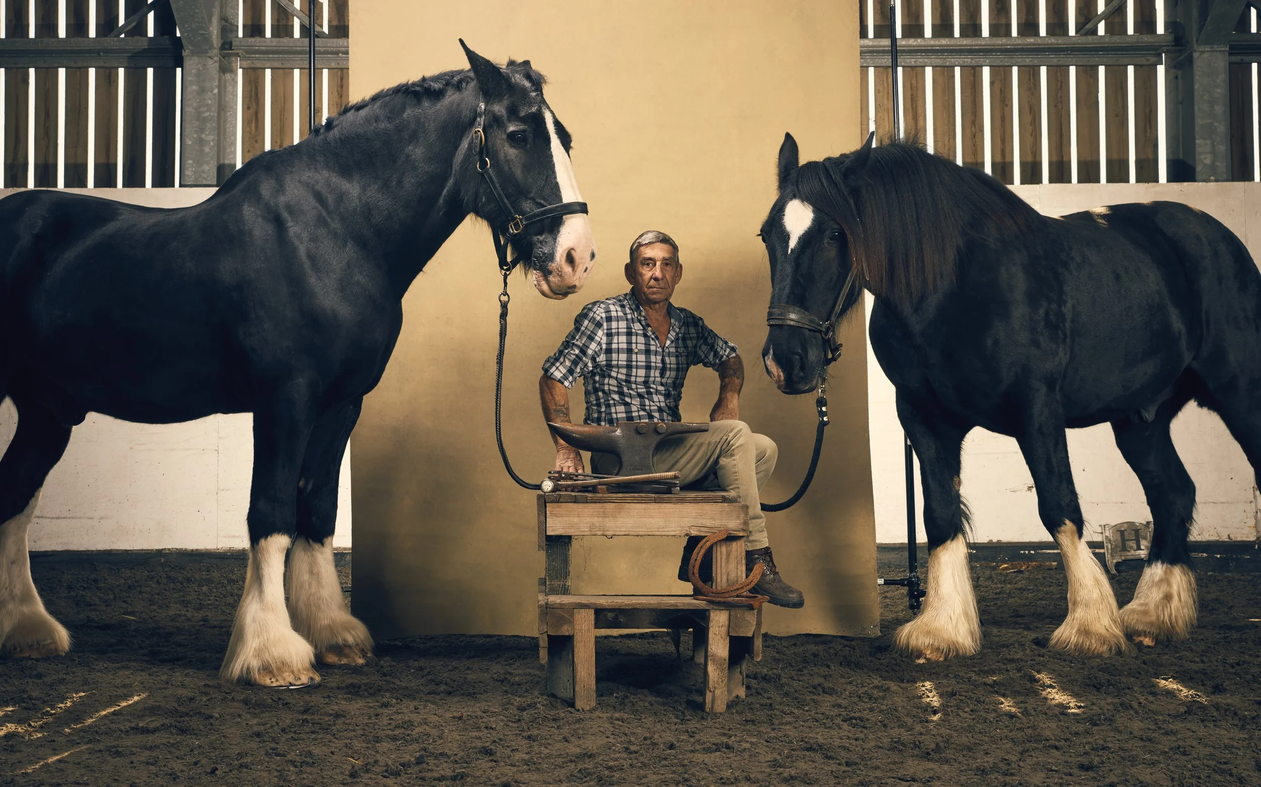 Mike The Farrier 3.jpg