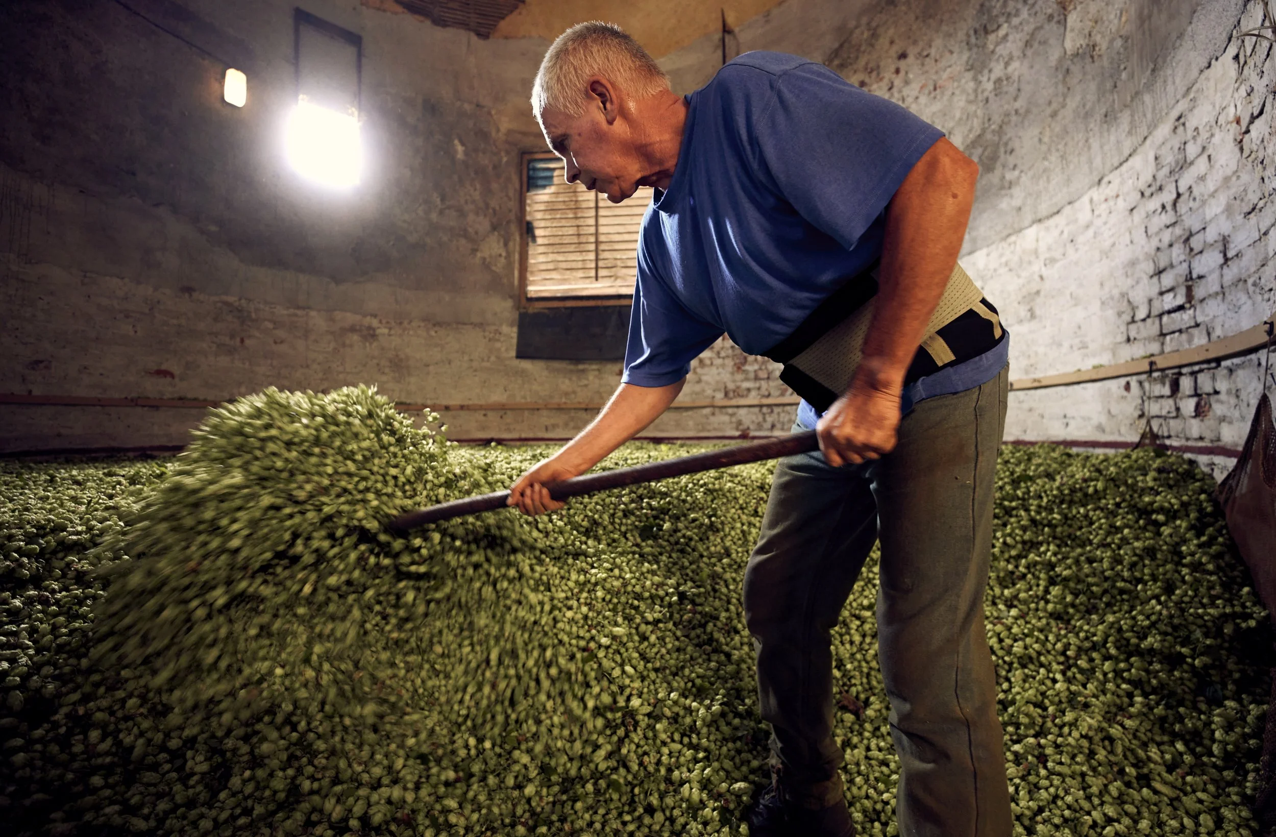 Loading into the drying round in the Oast.
