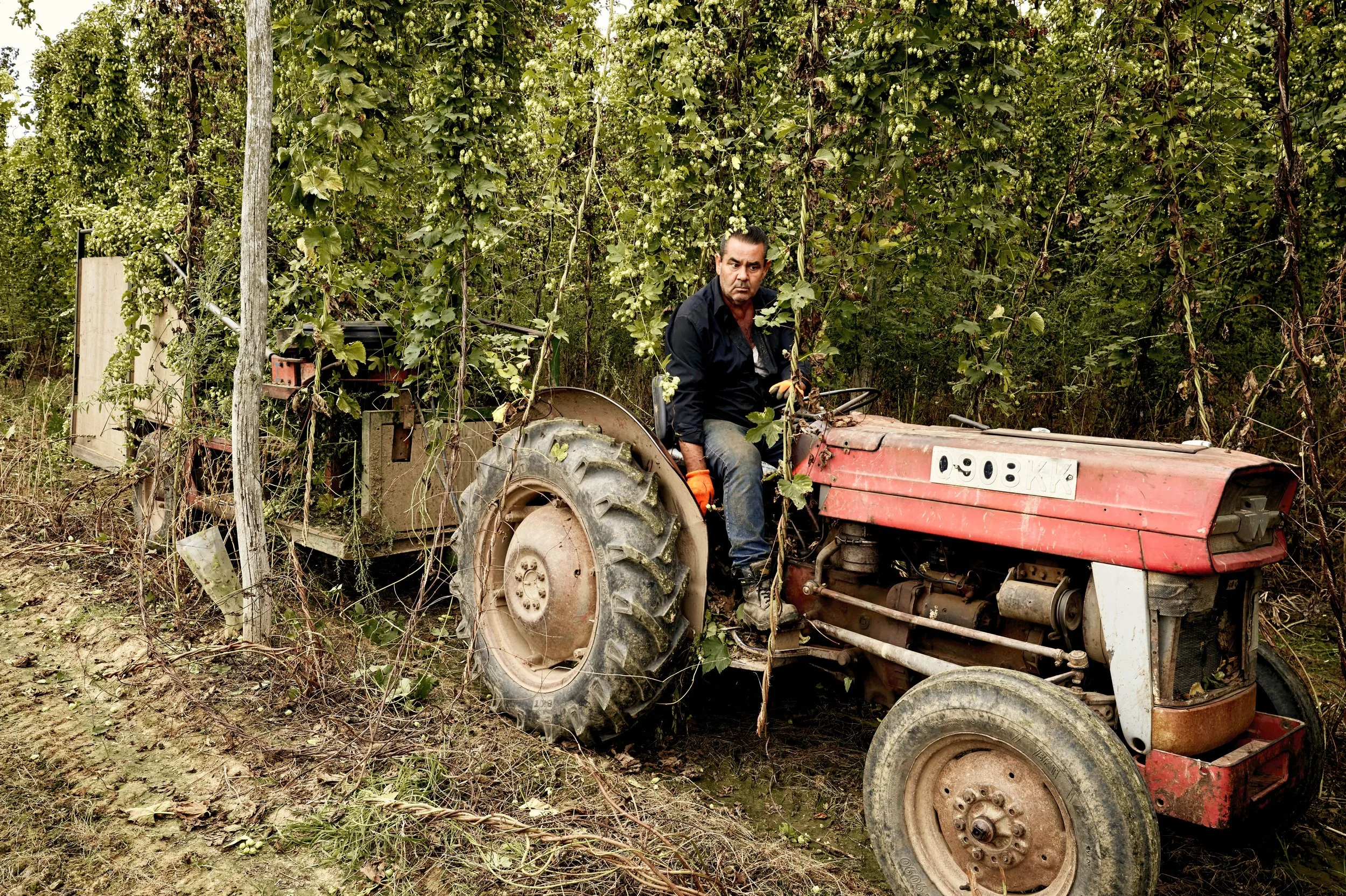 Loading up the cut crops.