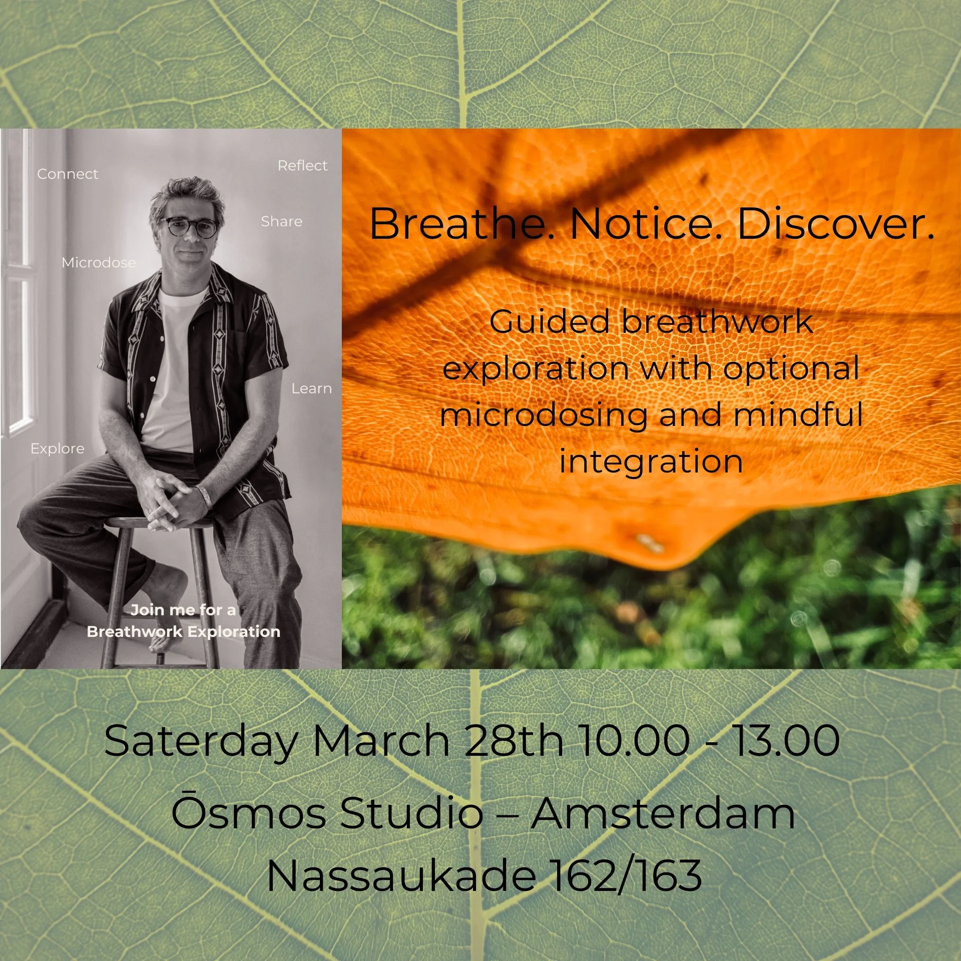 Participants at a Kanna microdosing workshop practicing mindful exploration in Amsterdam