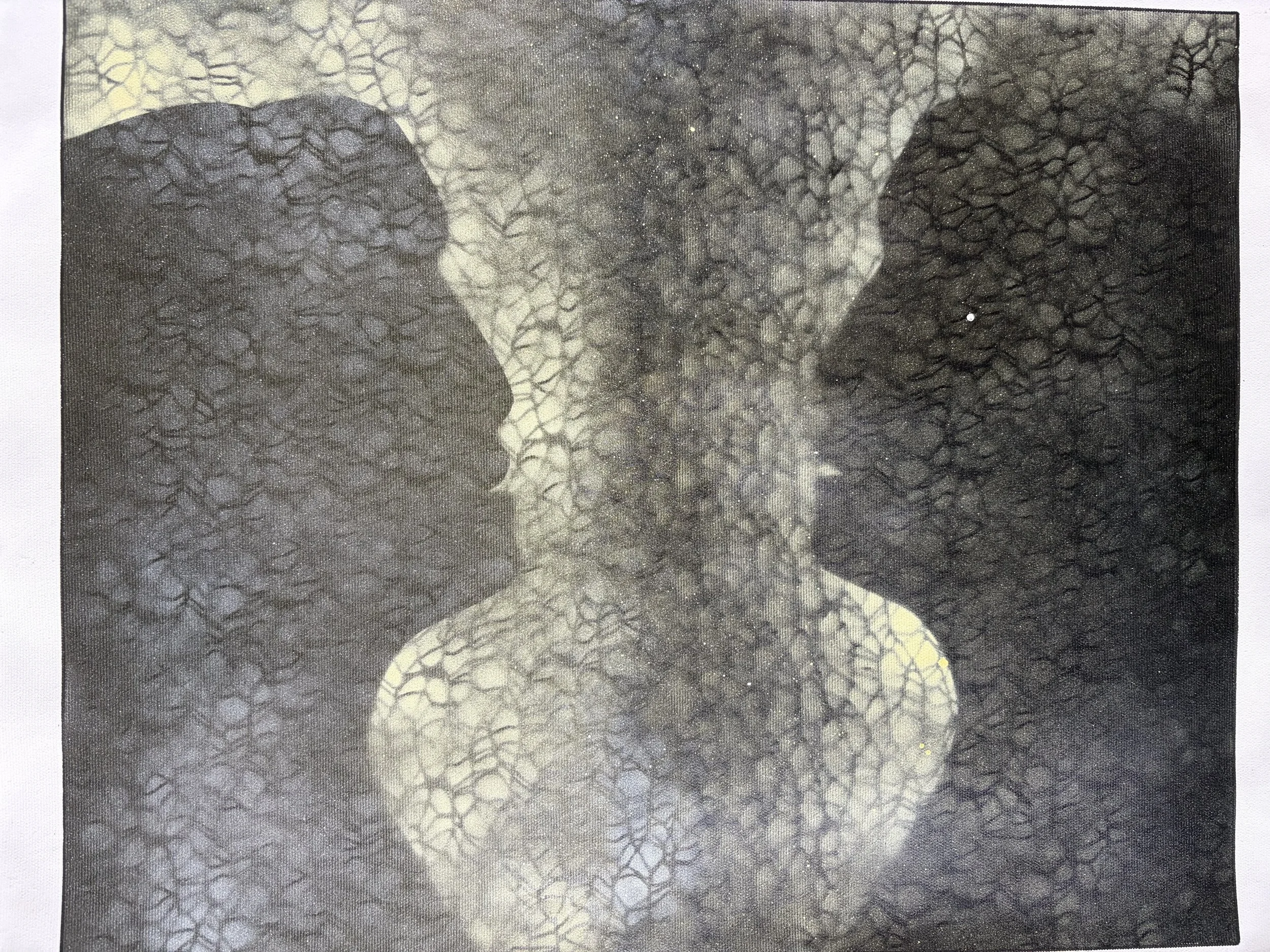 50x60
