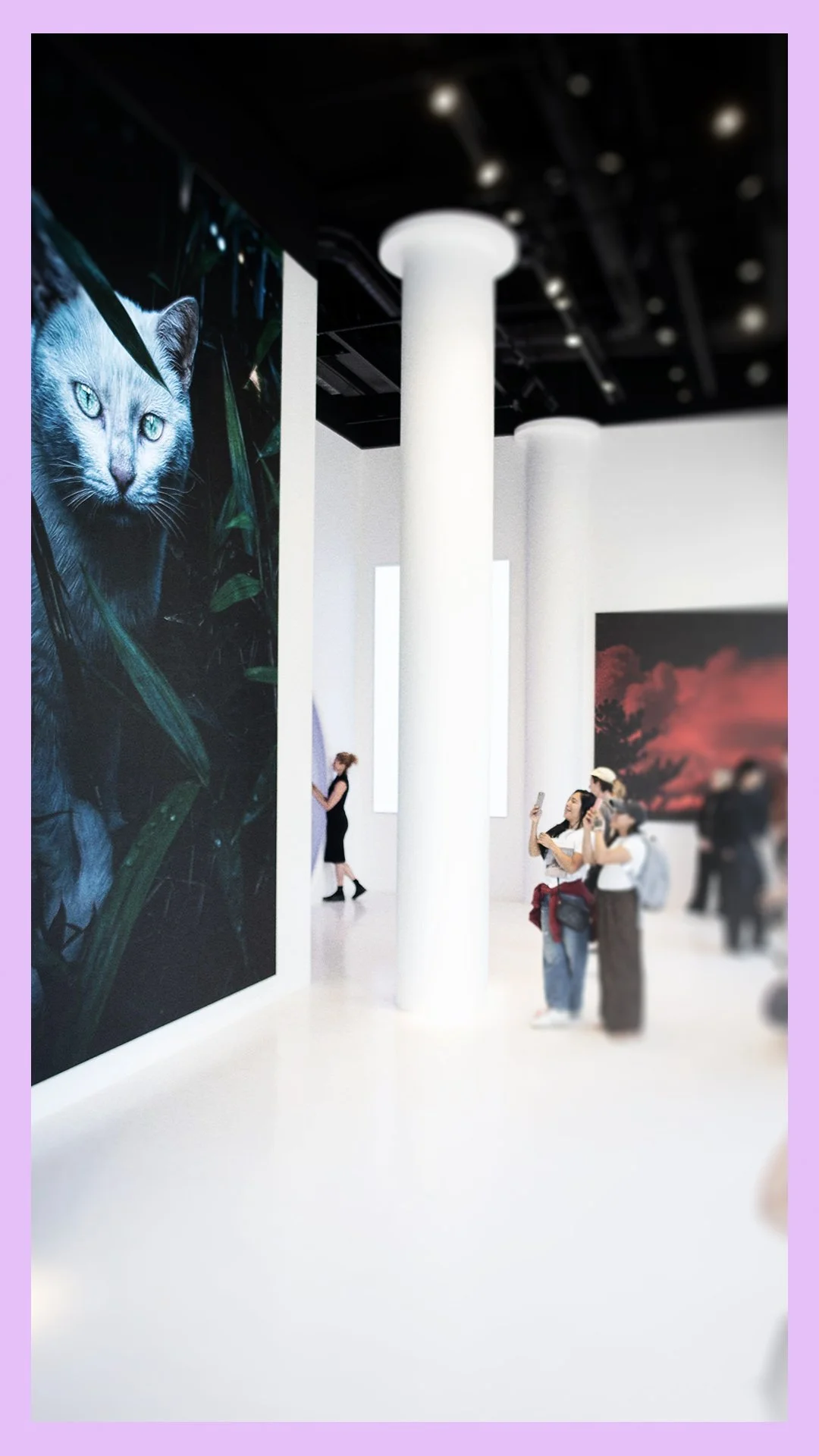 load gallery v02.jpg