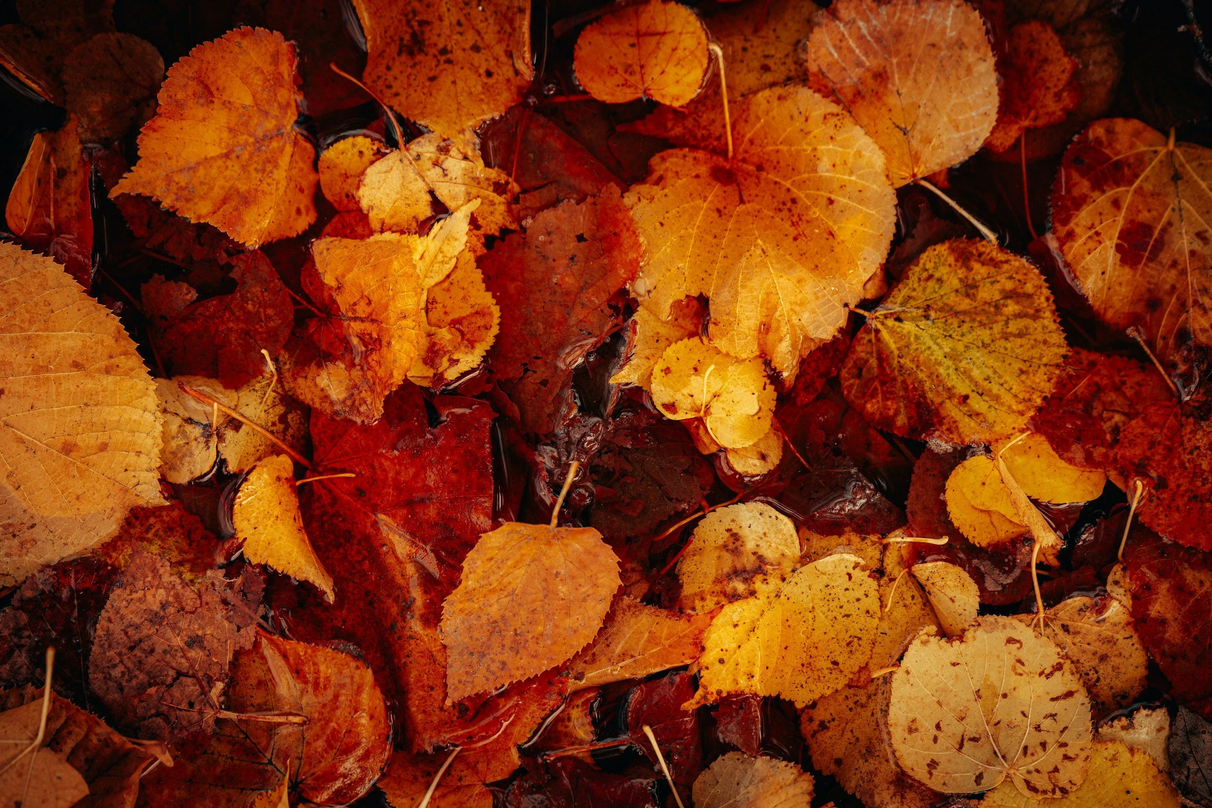Do We Really Need a September Reset?
